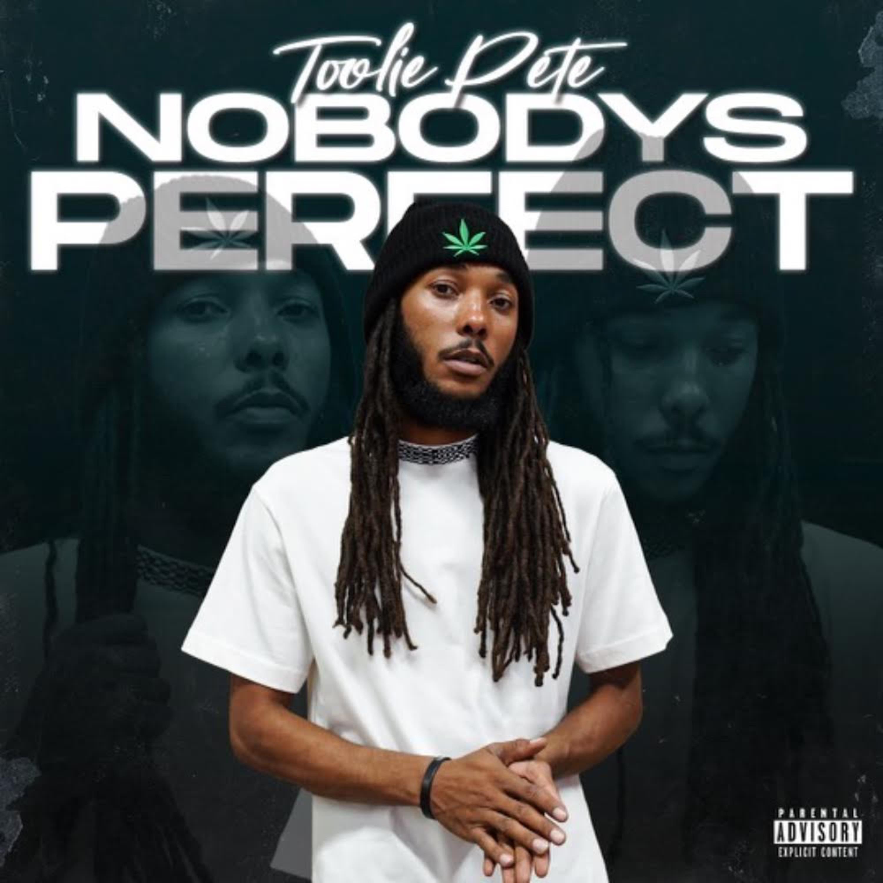 Nobody's Perfect artwork