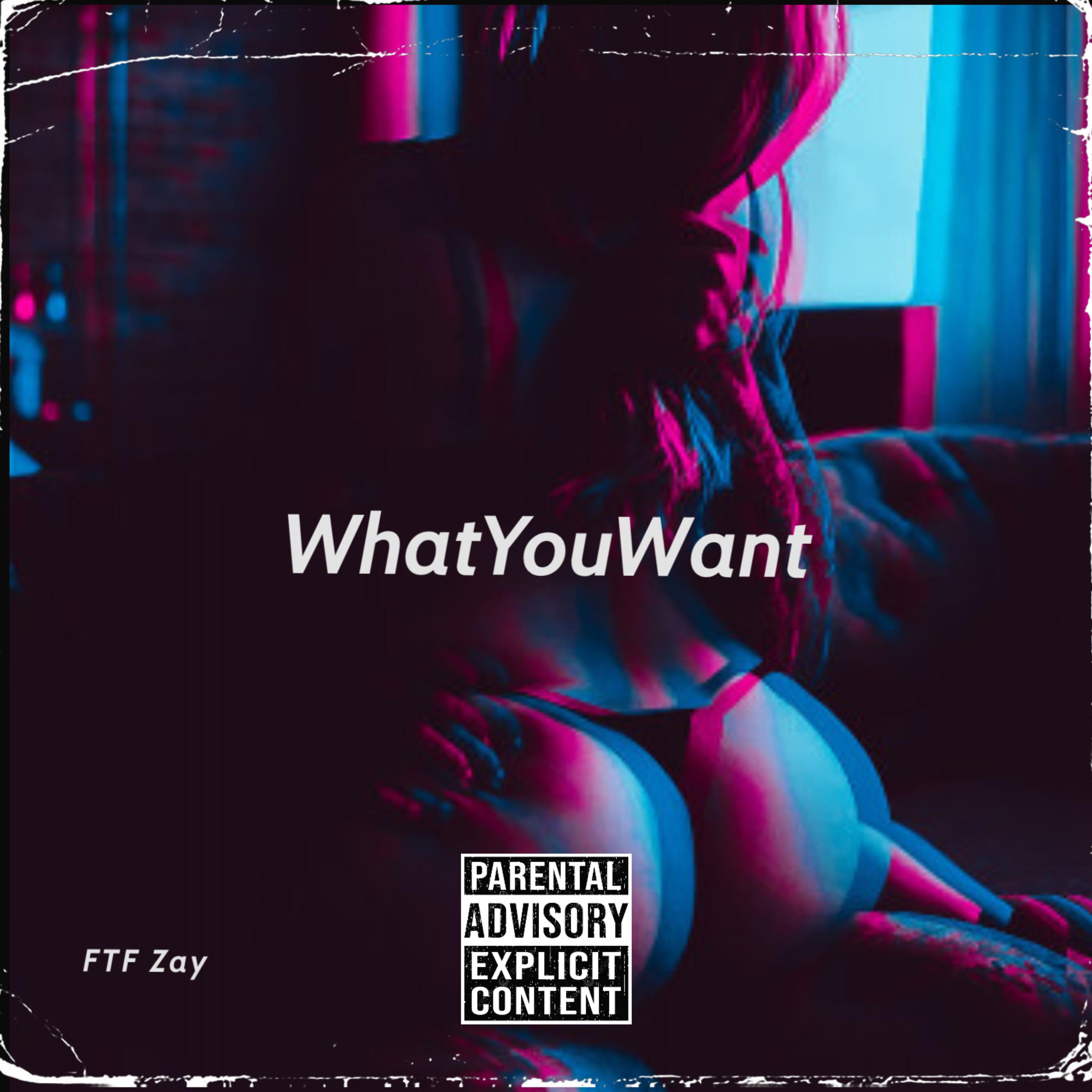 WhatYouWant by FTF Zay cover art