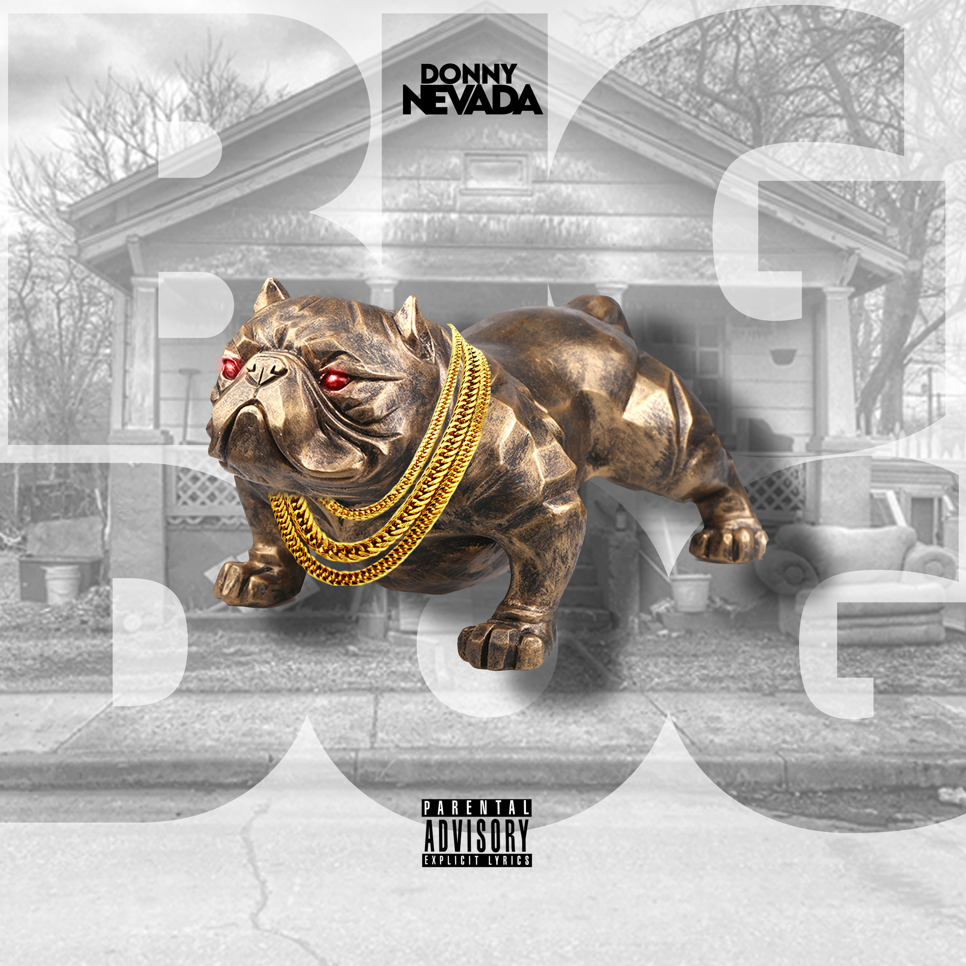 BIG DOG artwork