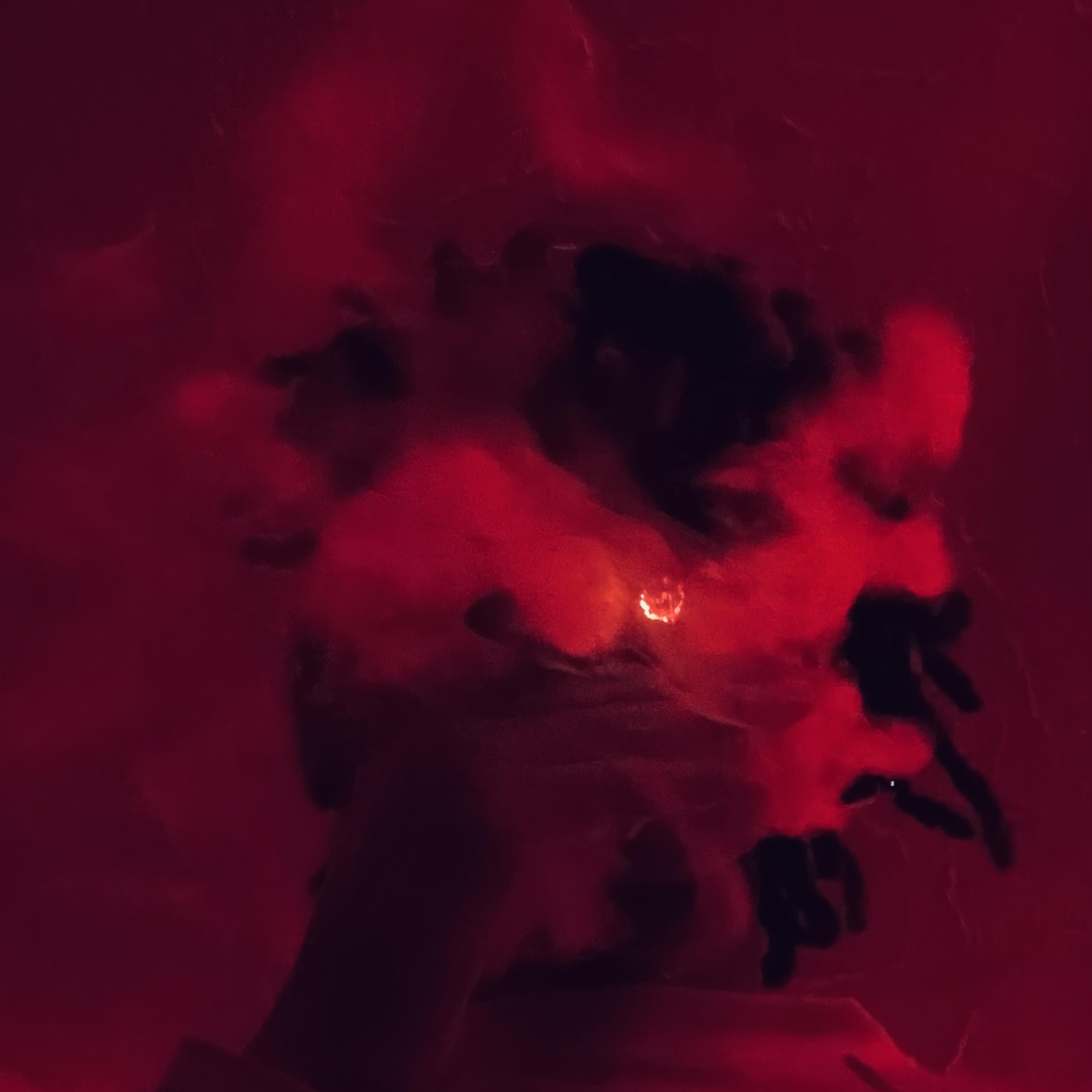 oppaxk artwork