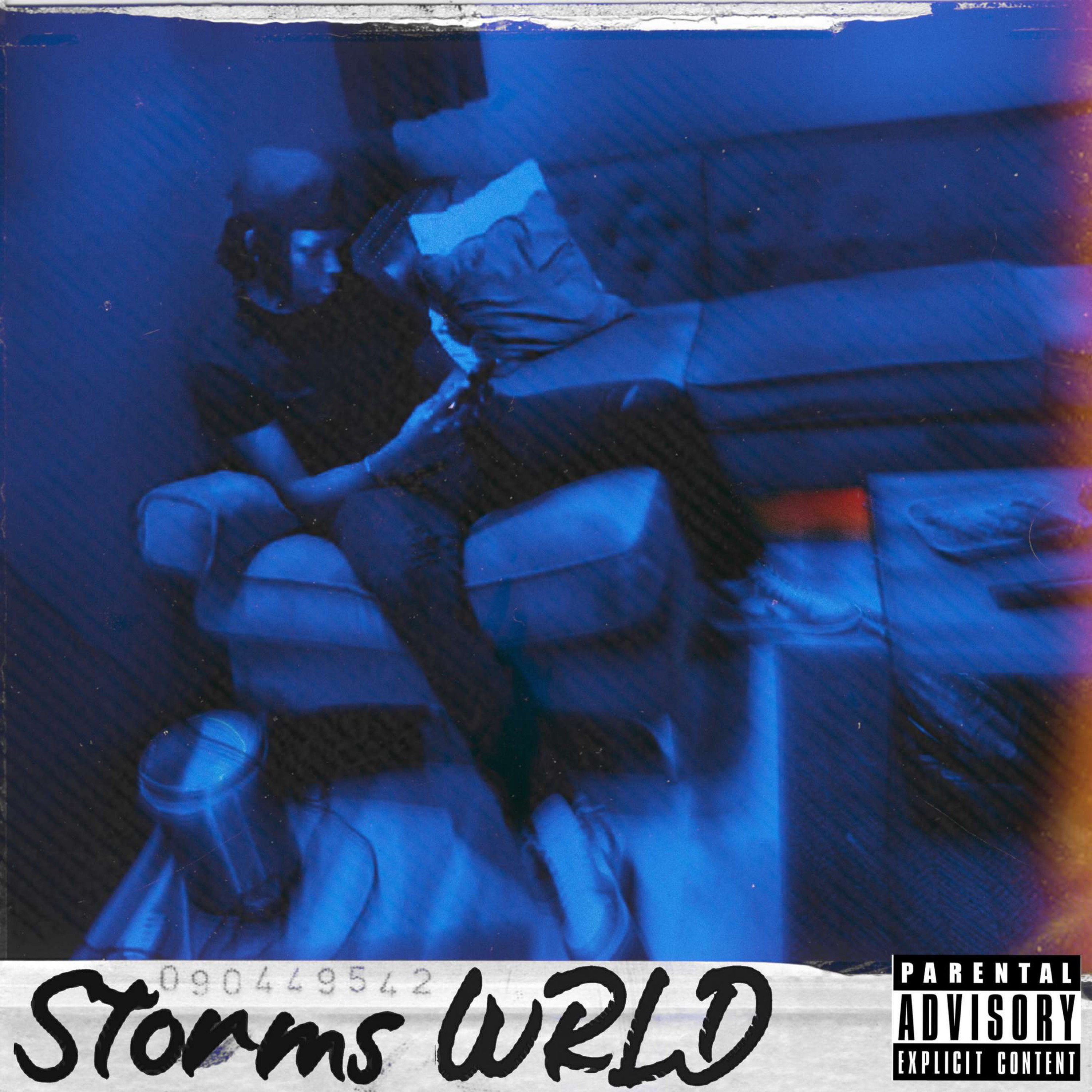  by De$torm cover art