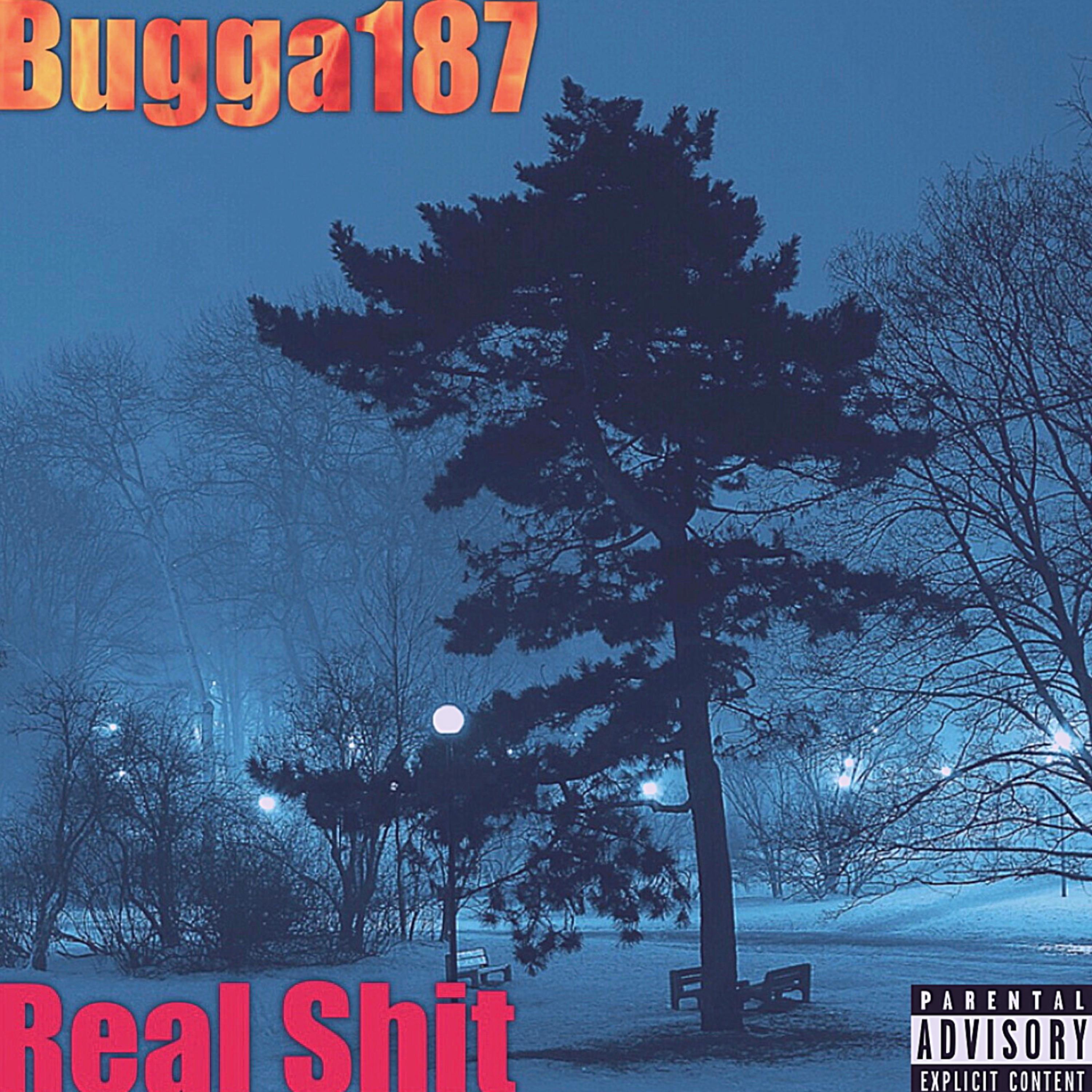 Real Shit artwork