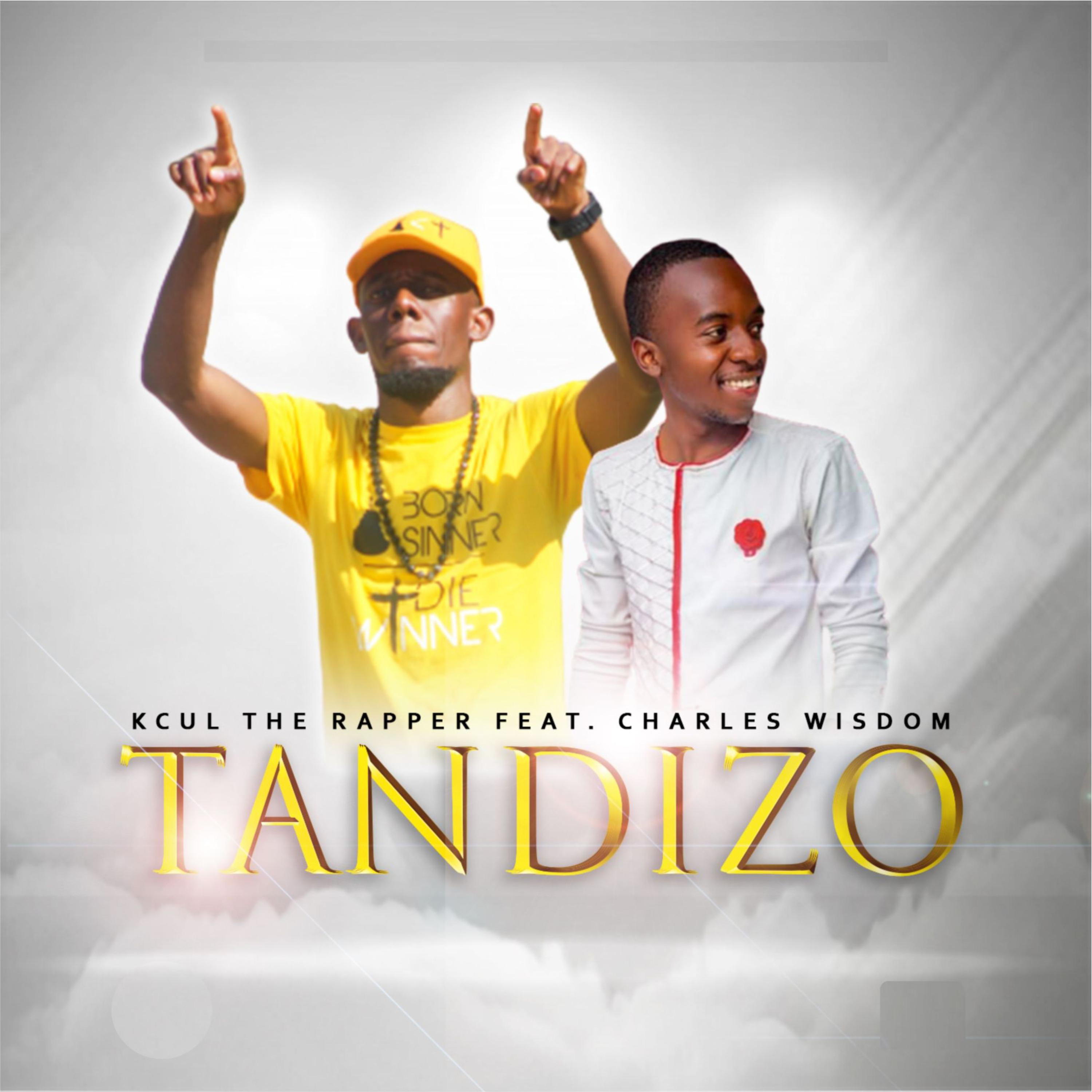 Tandizo artwork