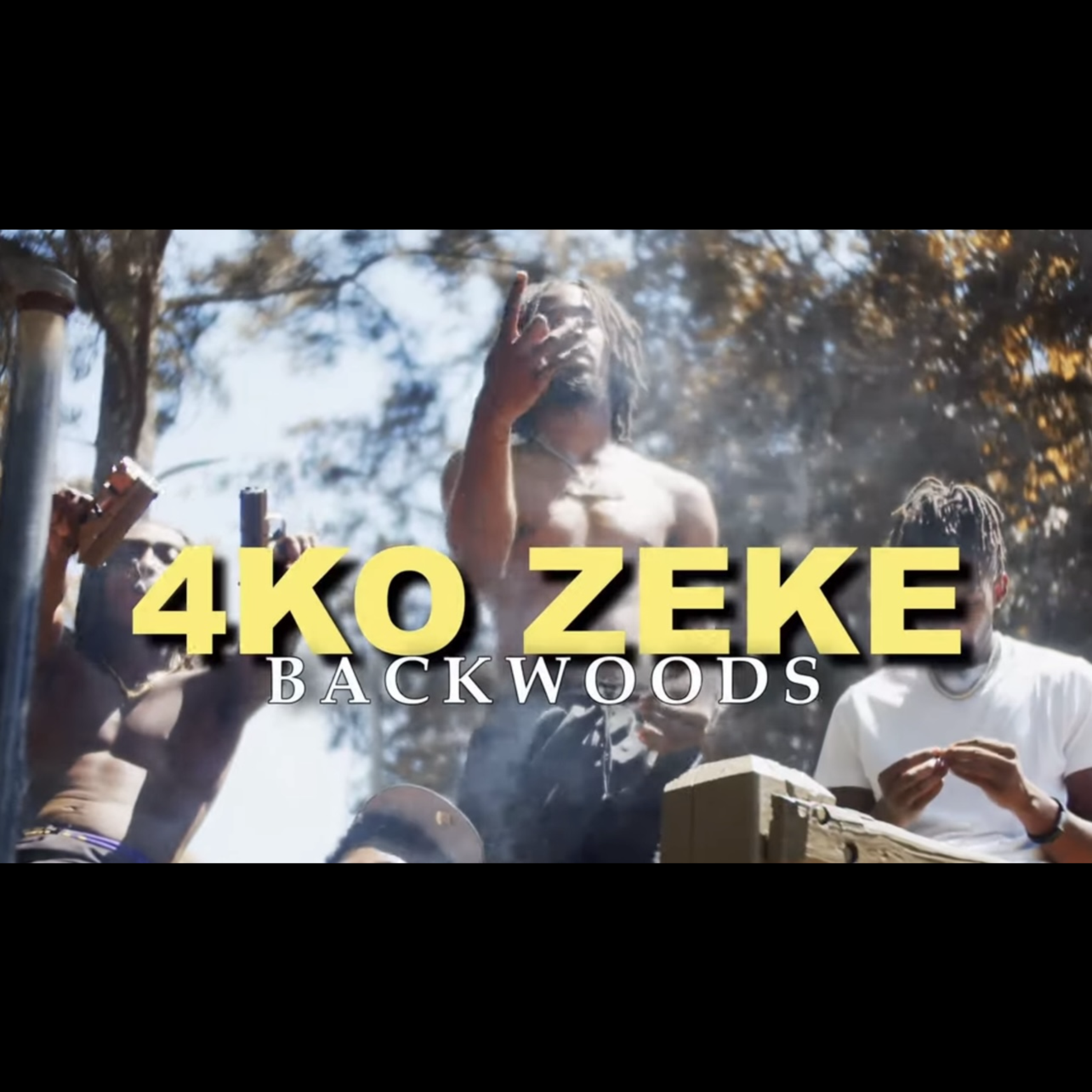Backwoods artwork