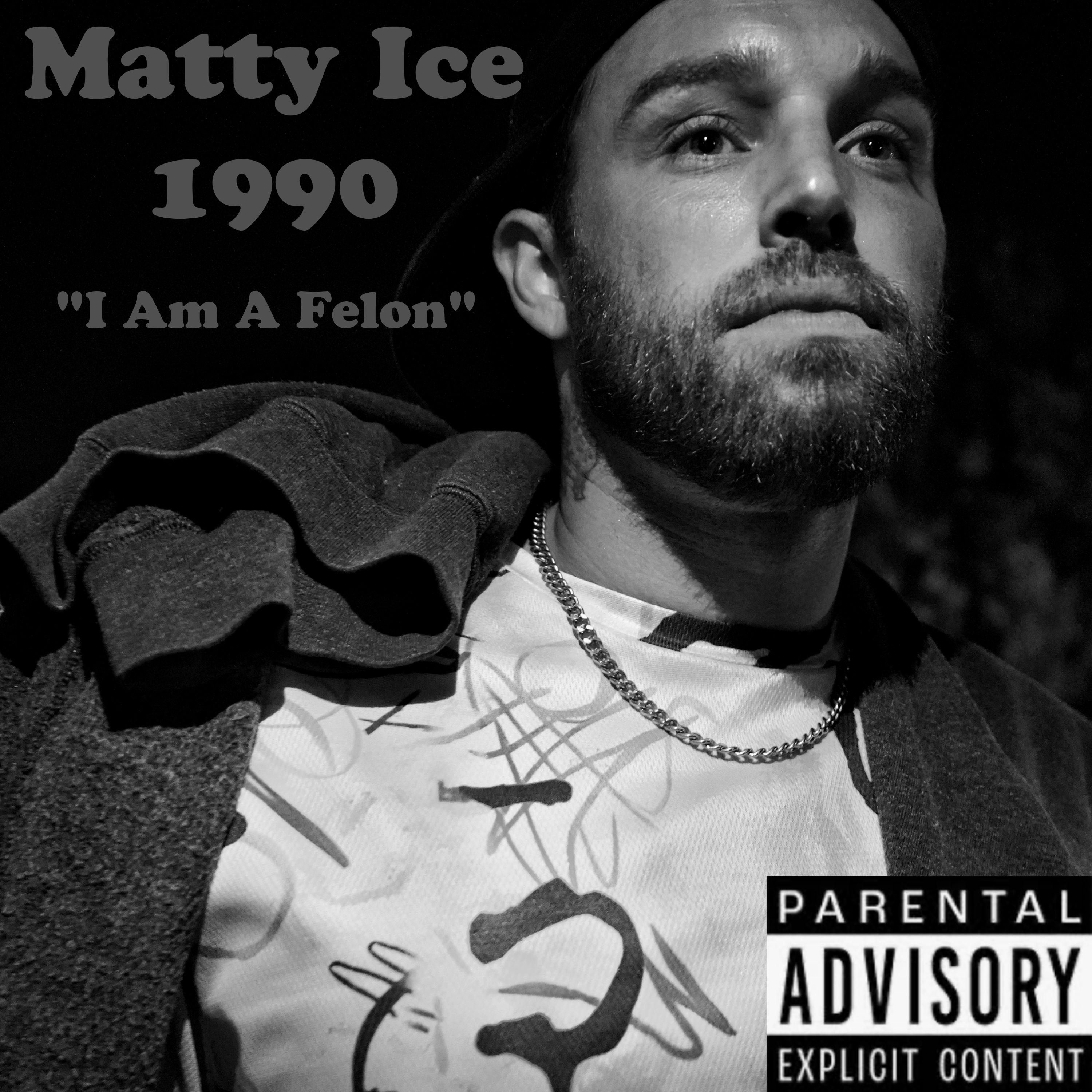 I Am A Felon artwork