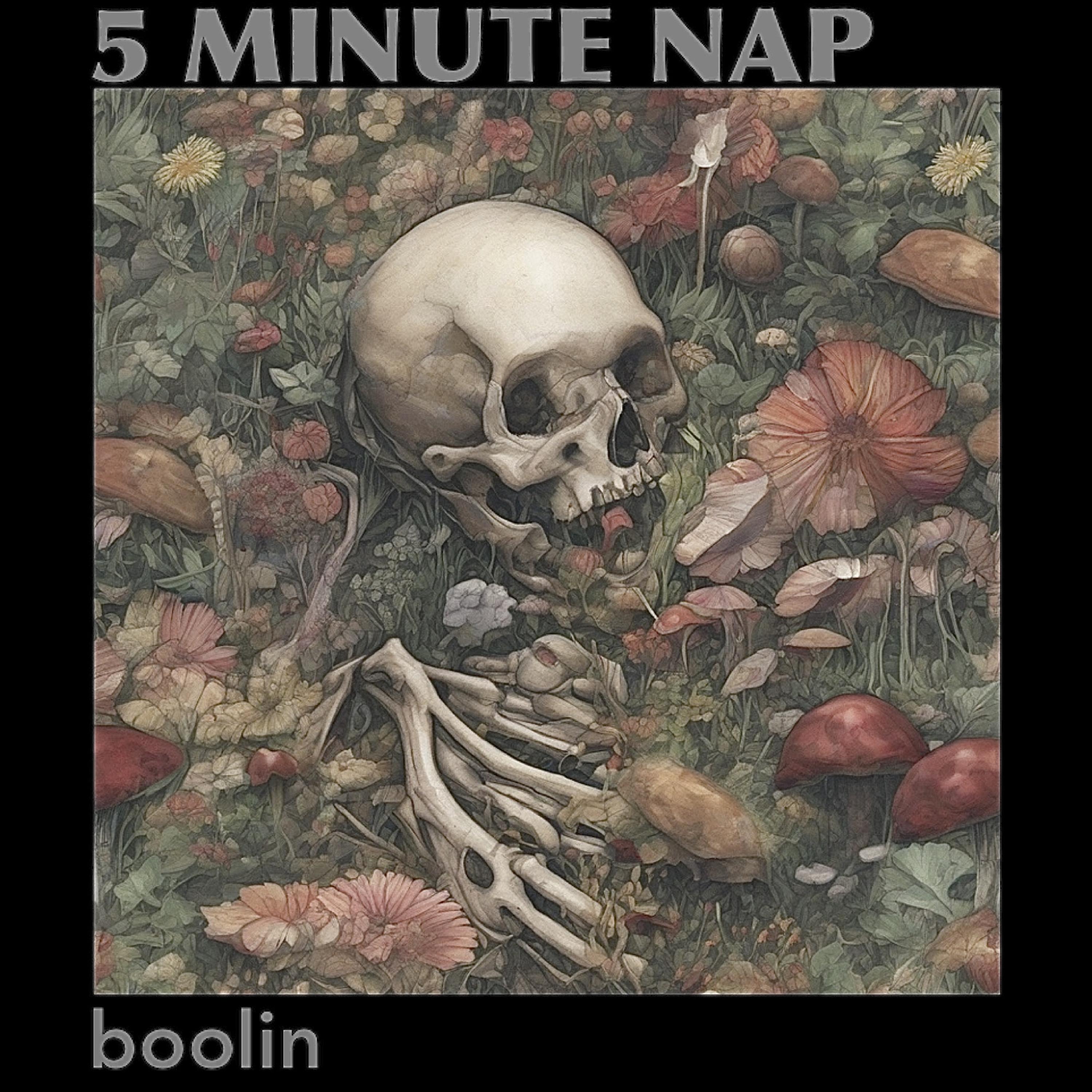 5 Minute Nap artwork