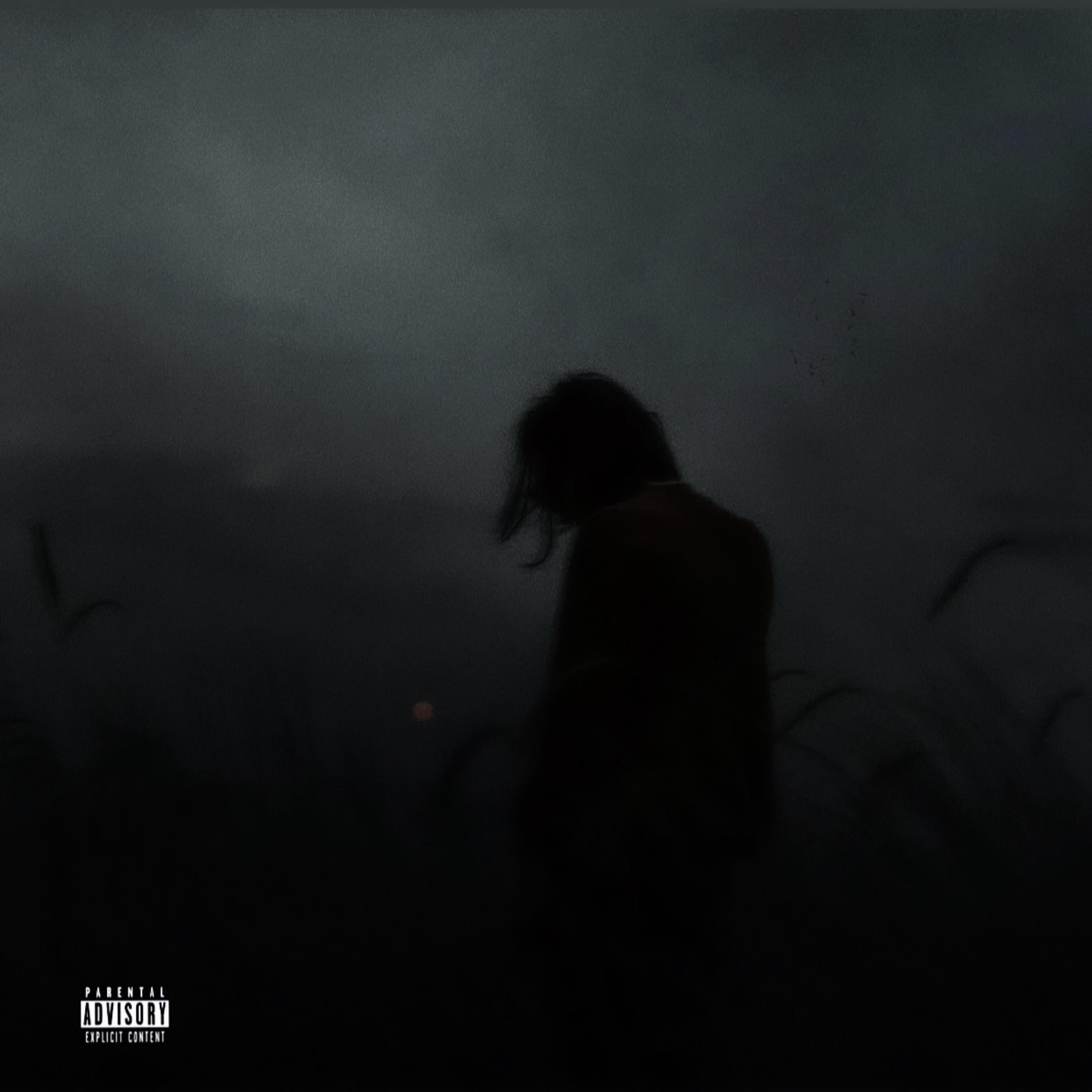 J.O.Y (JokesOnYou) artwork