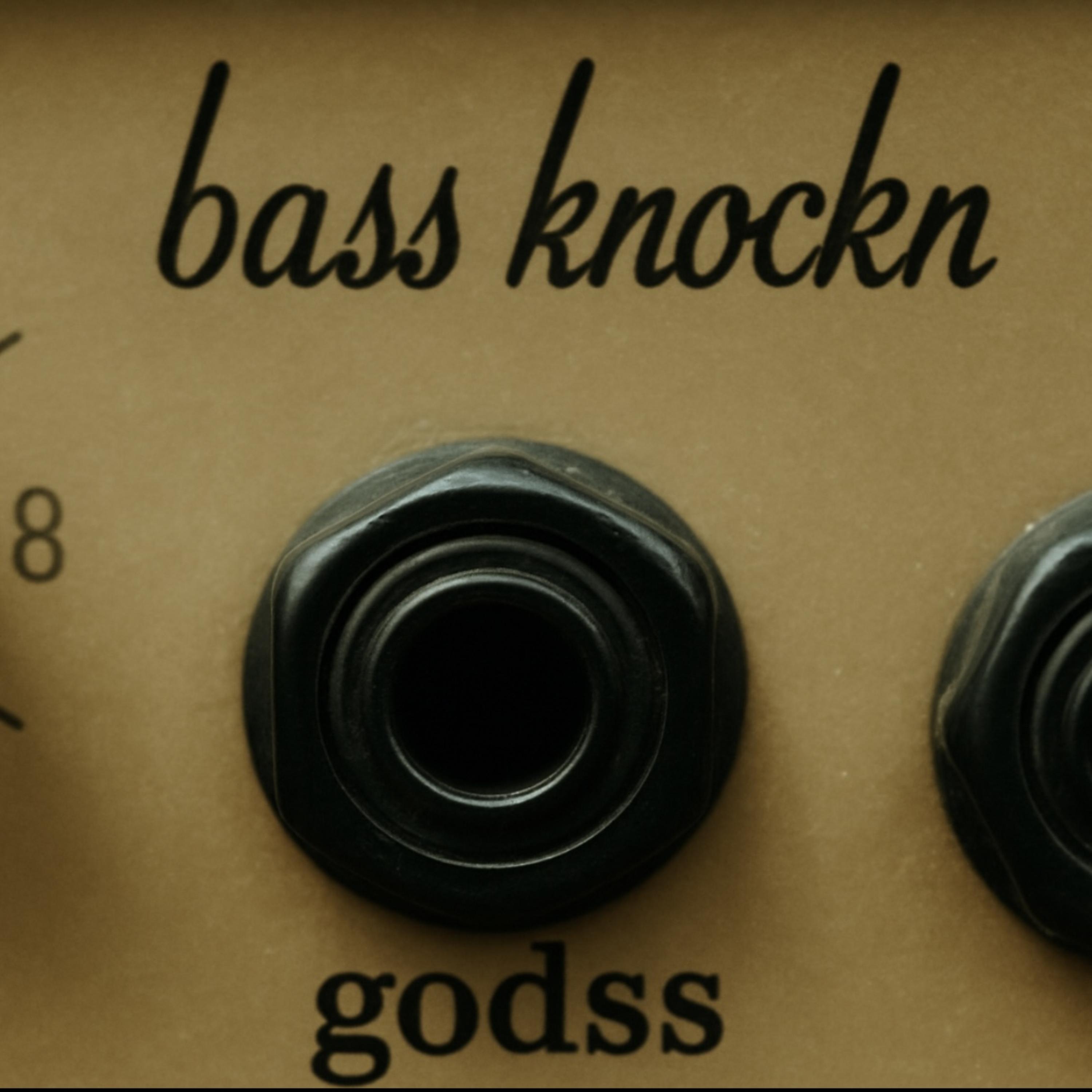 bass knockn artwork