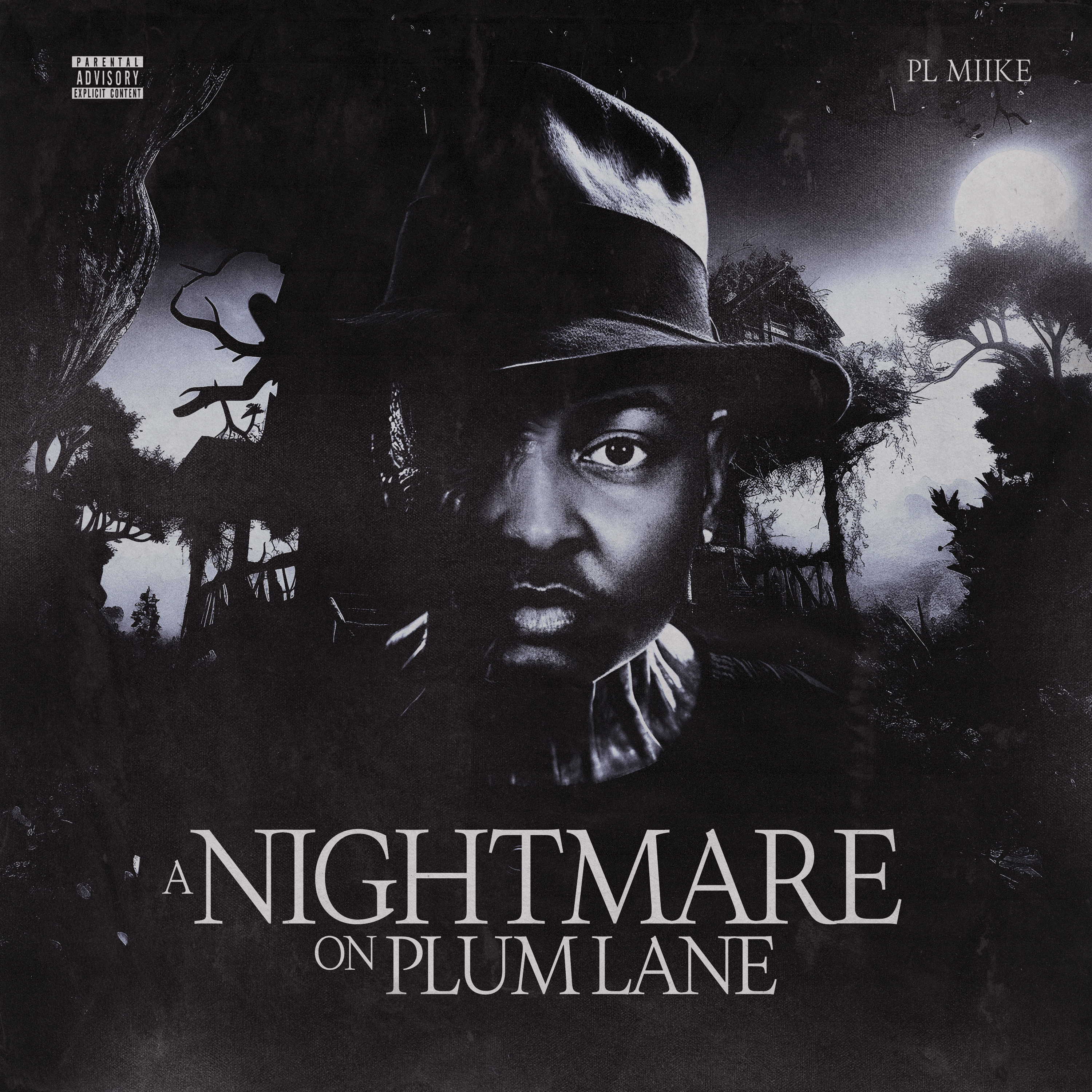 A Nightmare On Plum Lane artwork