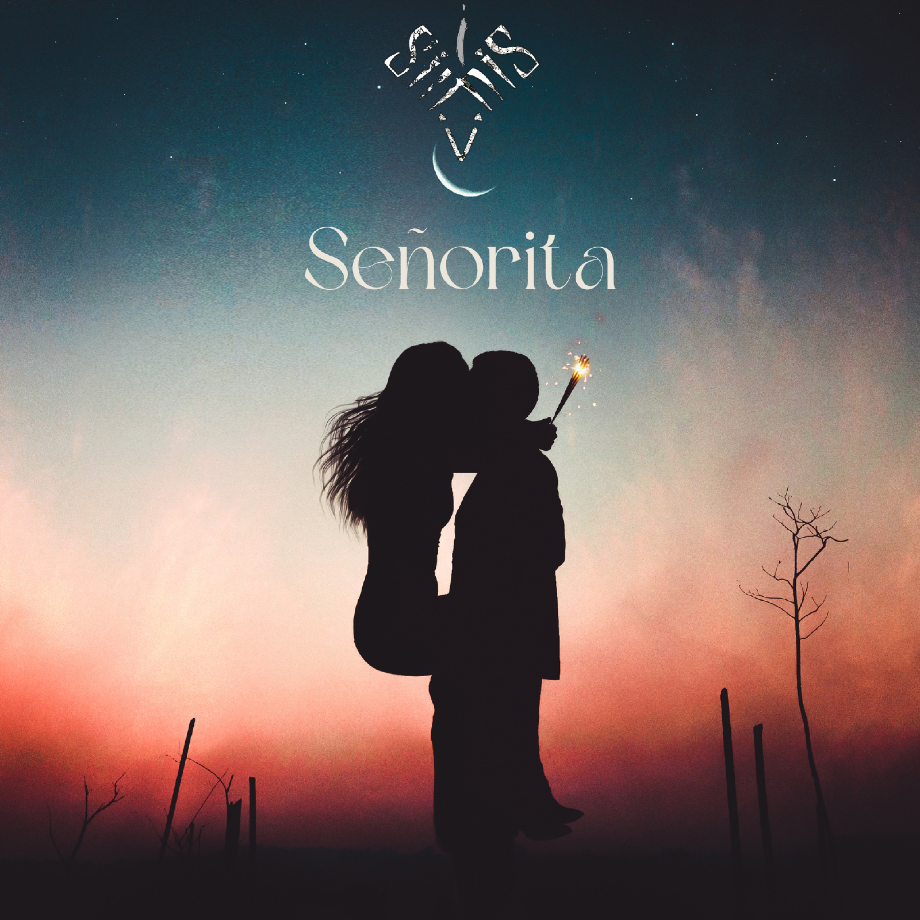 Señorita artwork