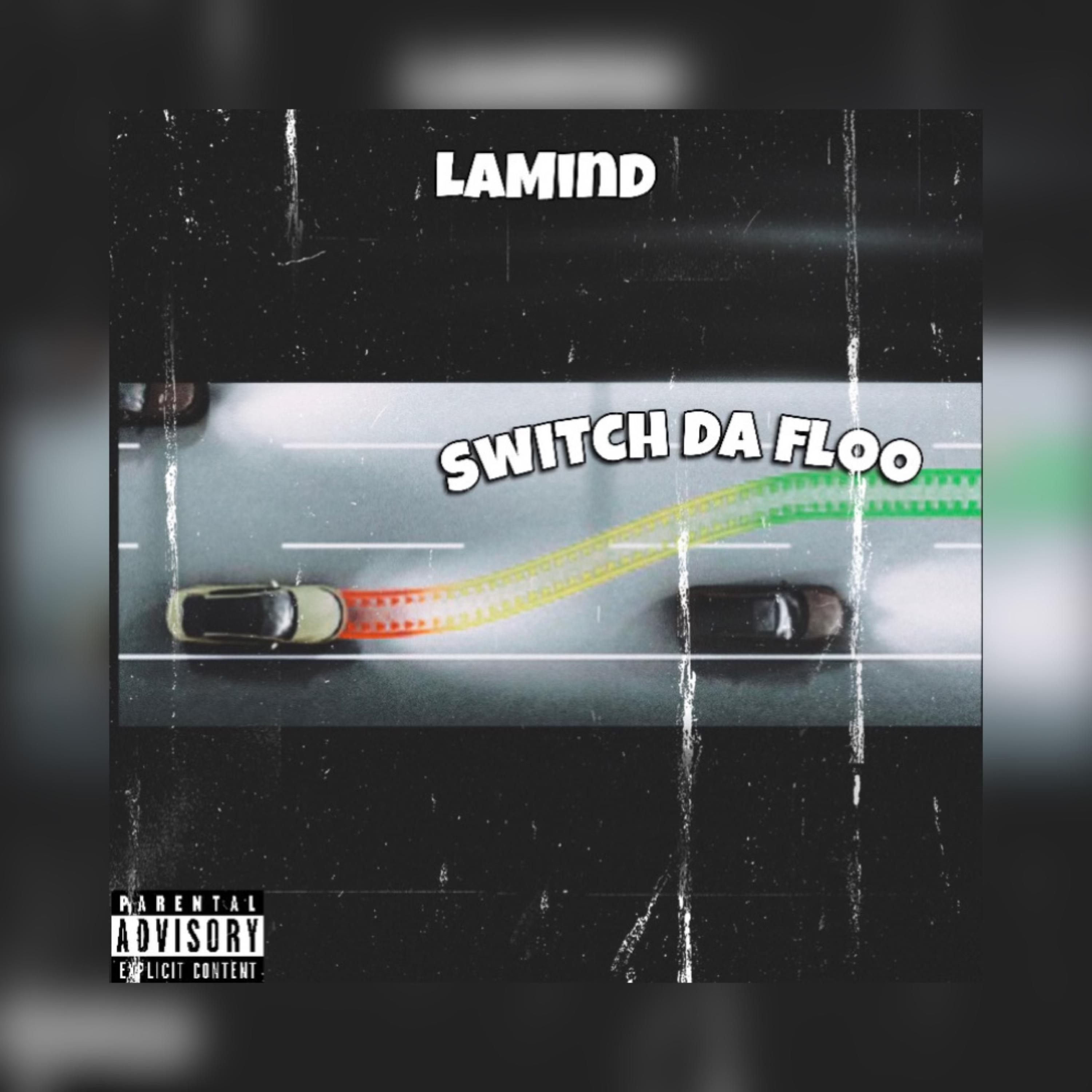 Switch Da Floo artwork