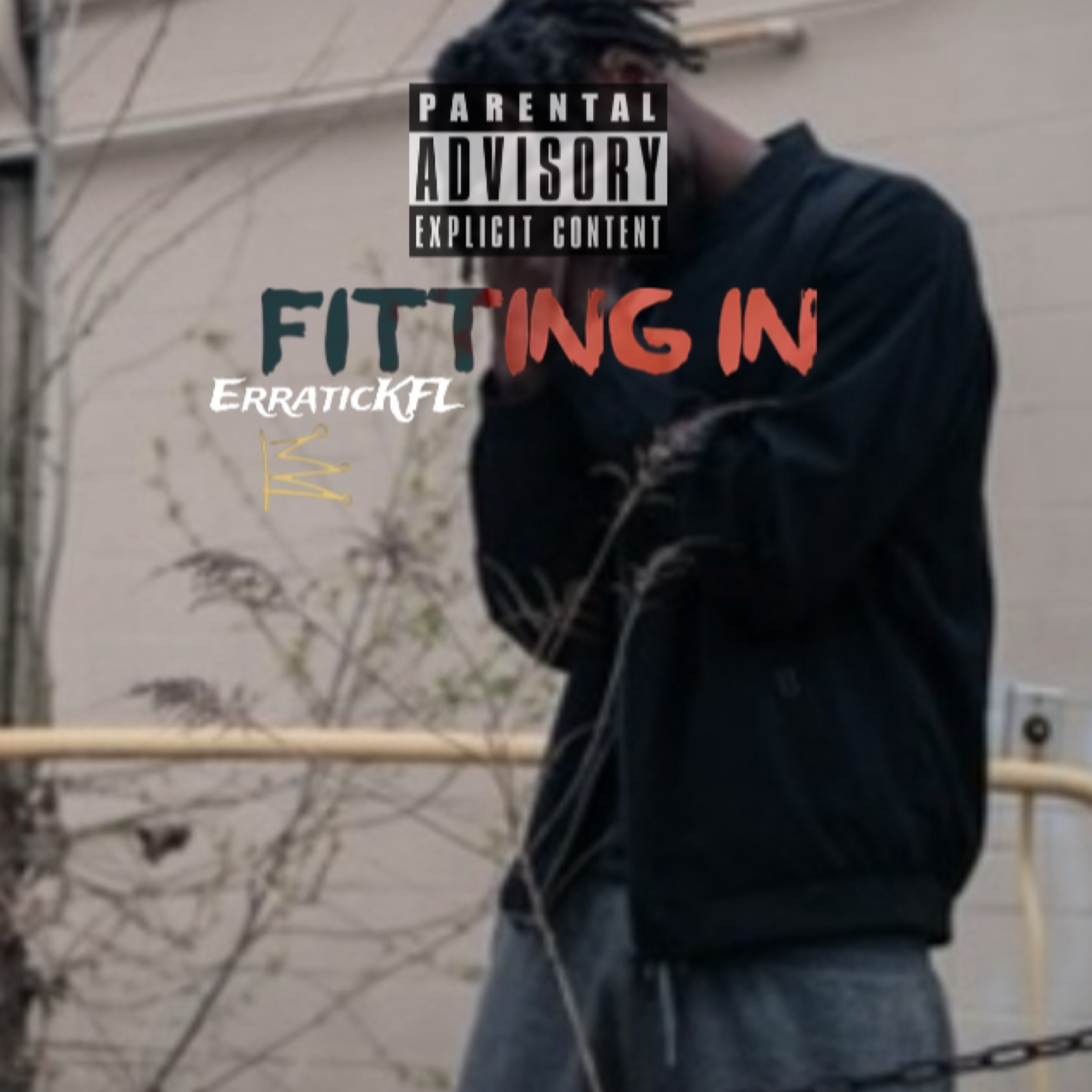 Fitting In artwork