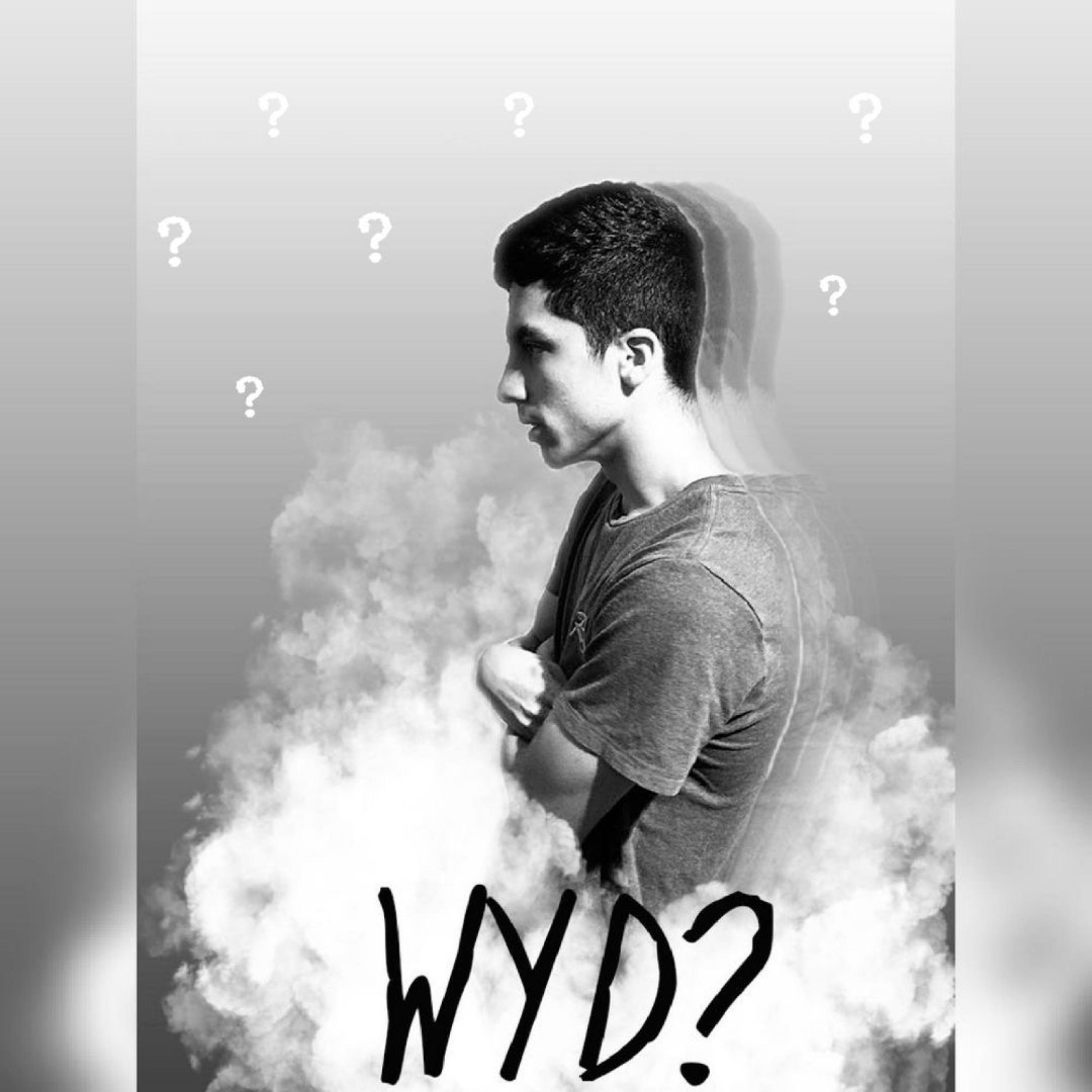 WYD? artwork