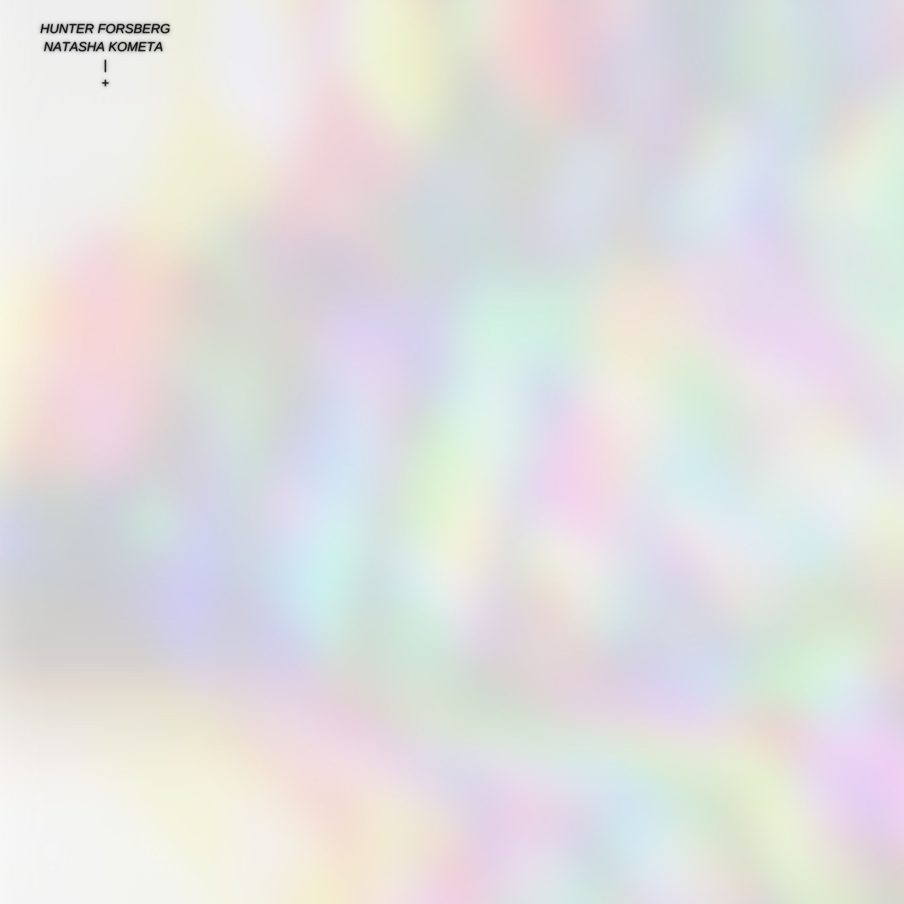 Natasha Kometa artwork