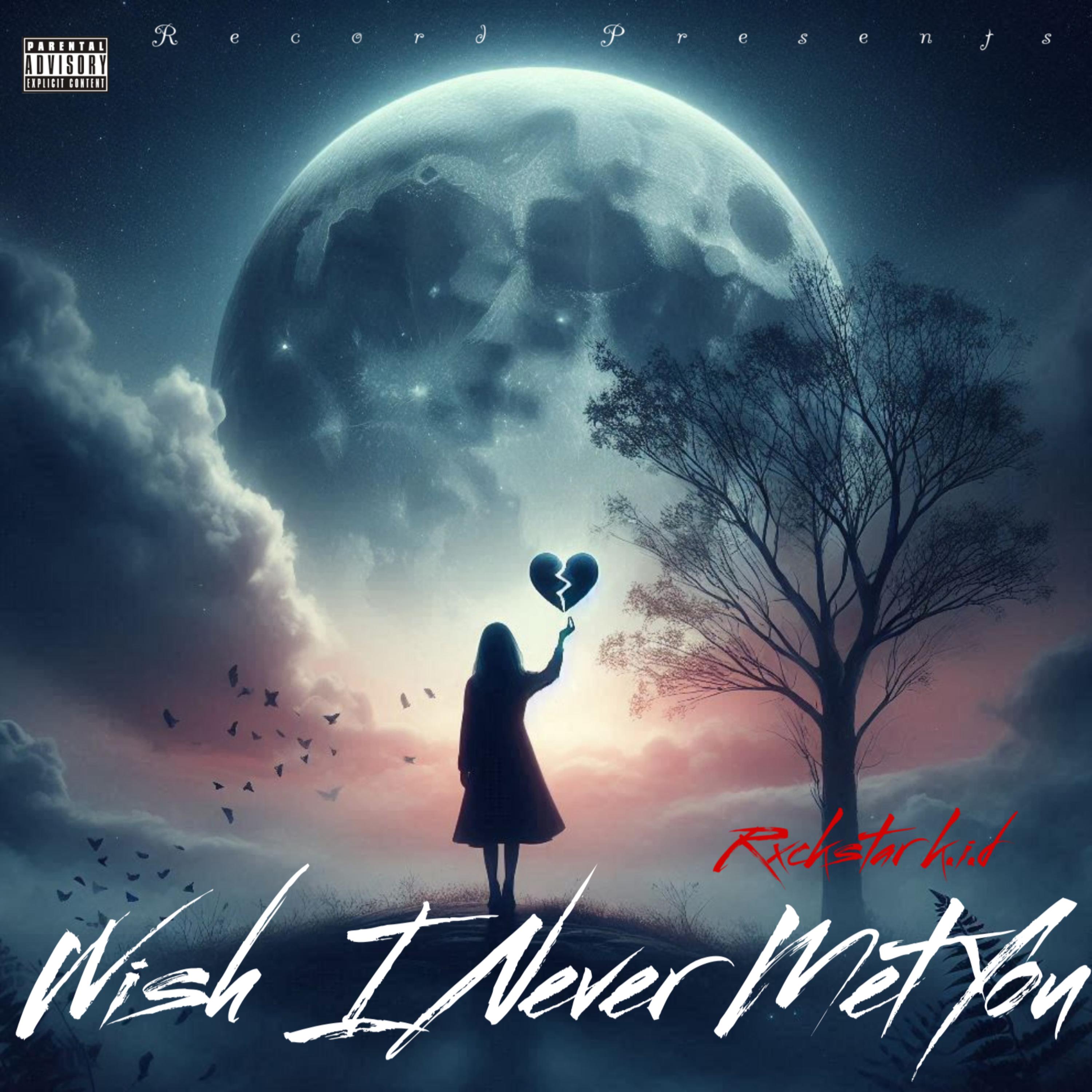 Wish I Never Met You artwork