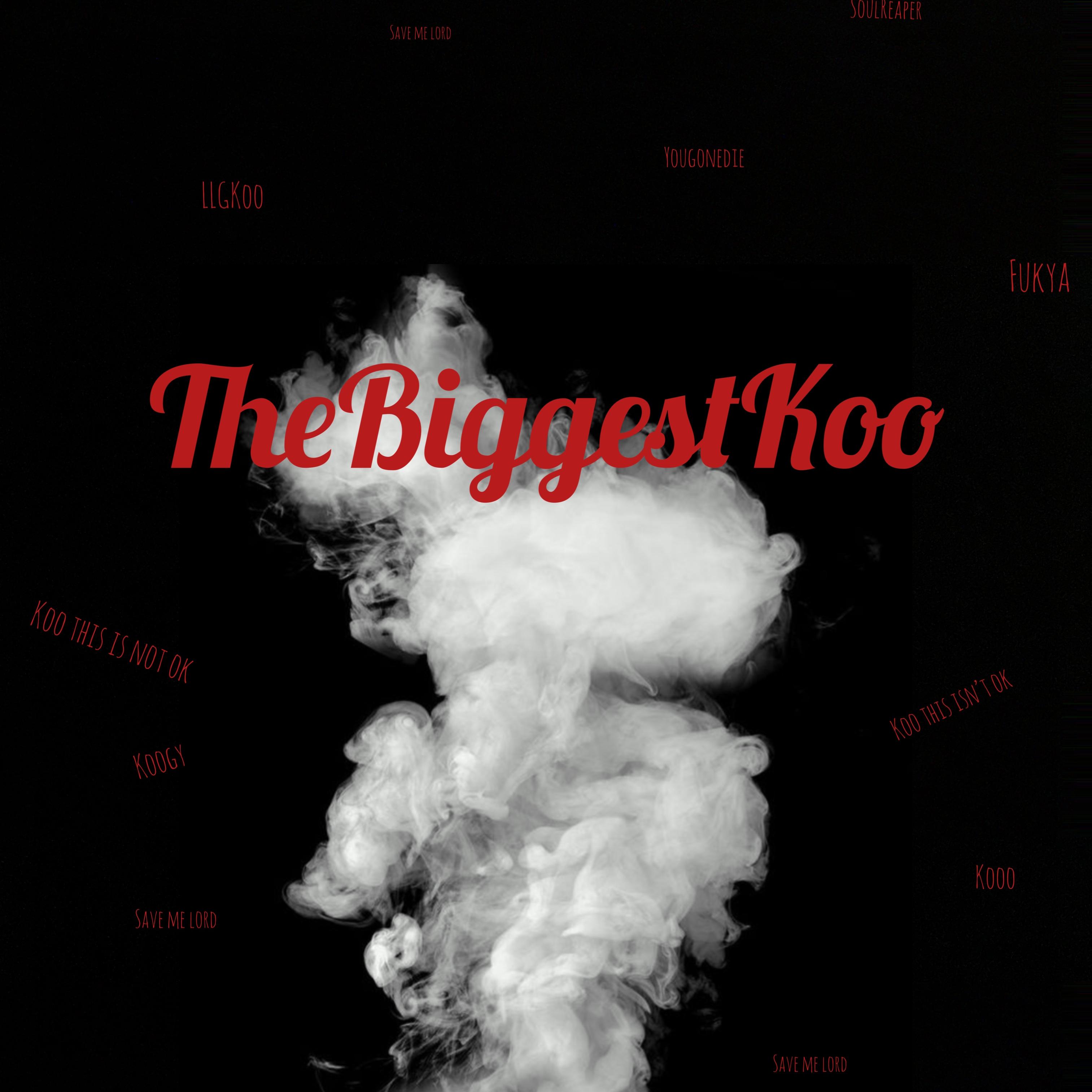 TheBiggestKoo artwork