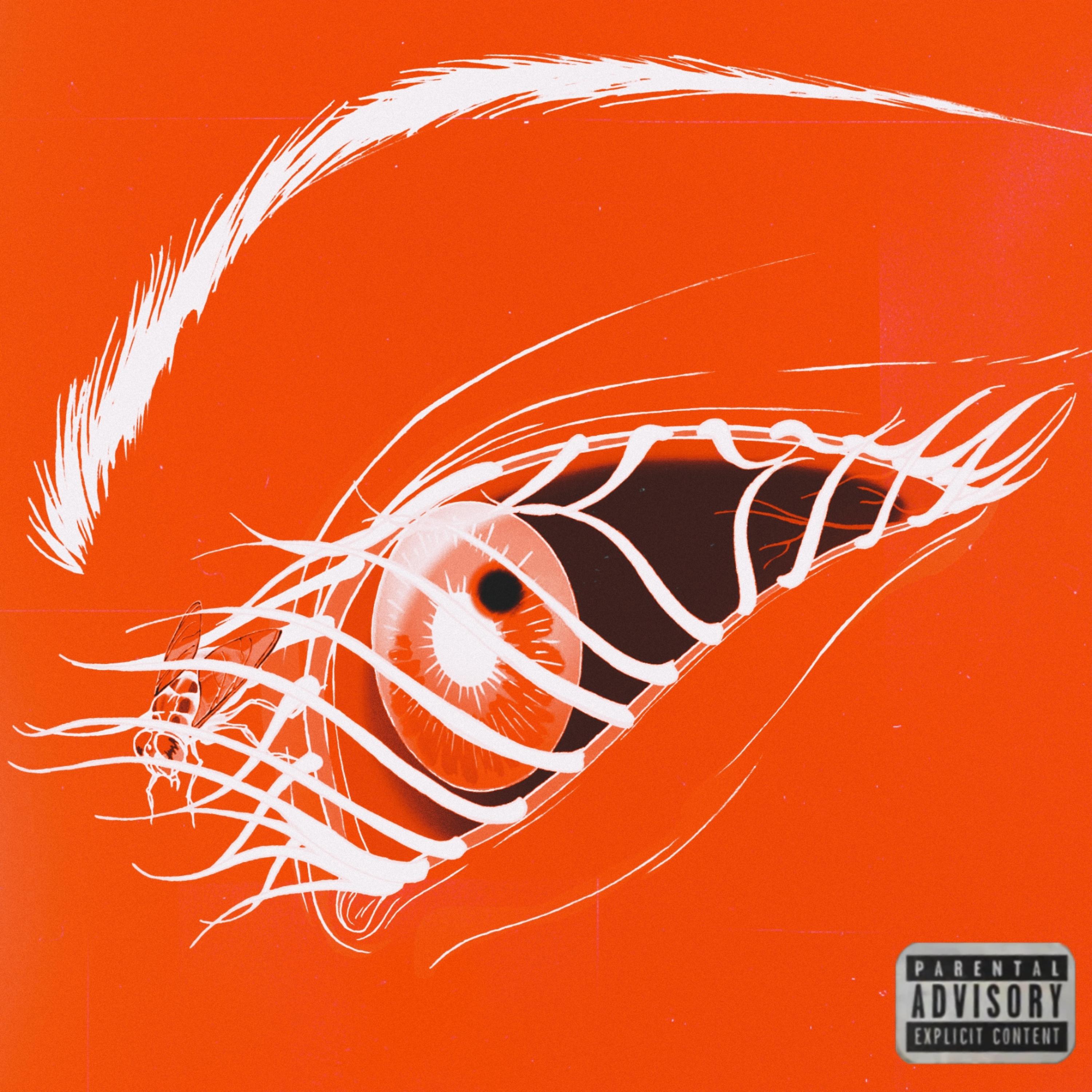 mtv aeon flux artwork