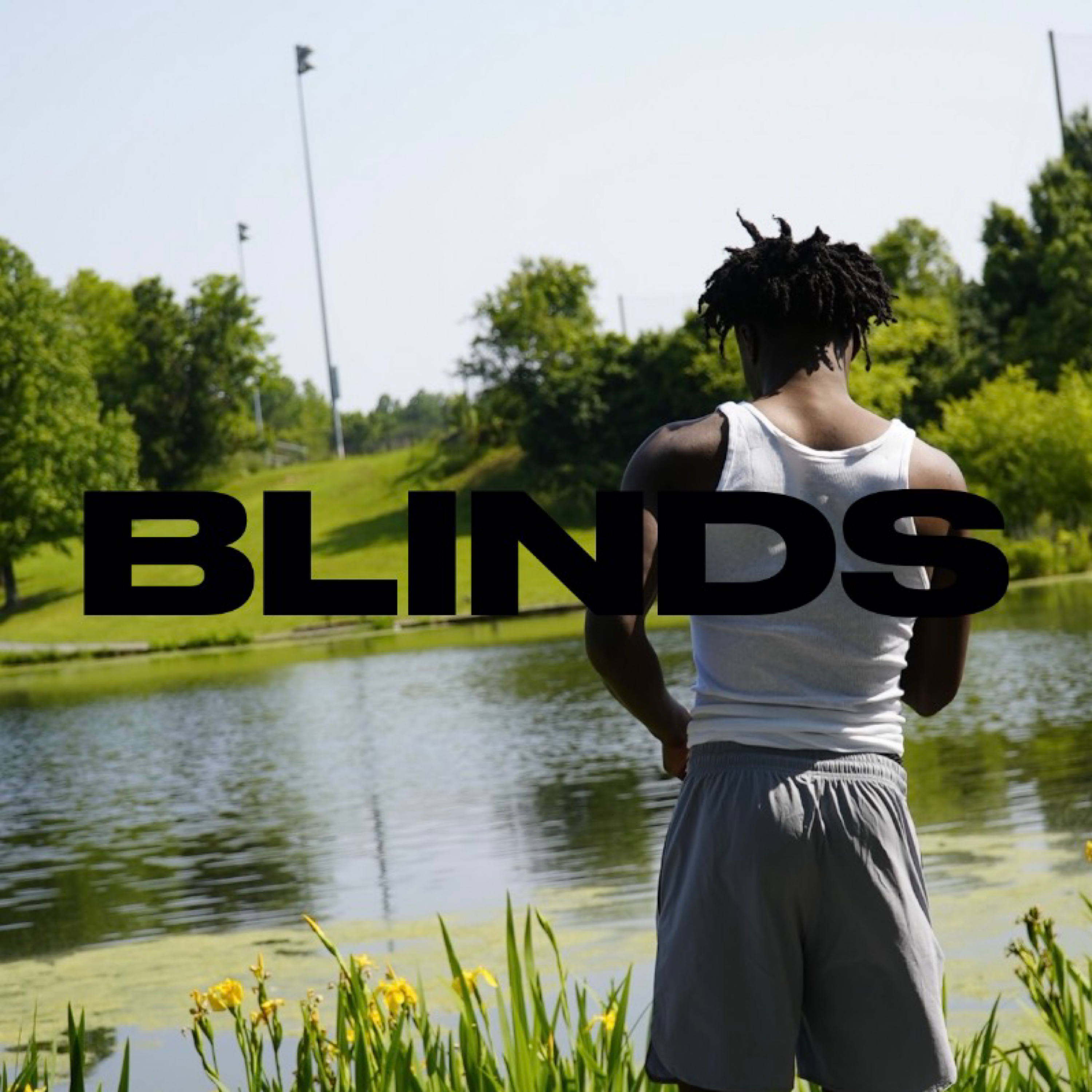 BLINDS artwork