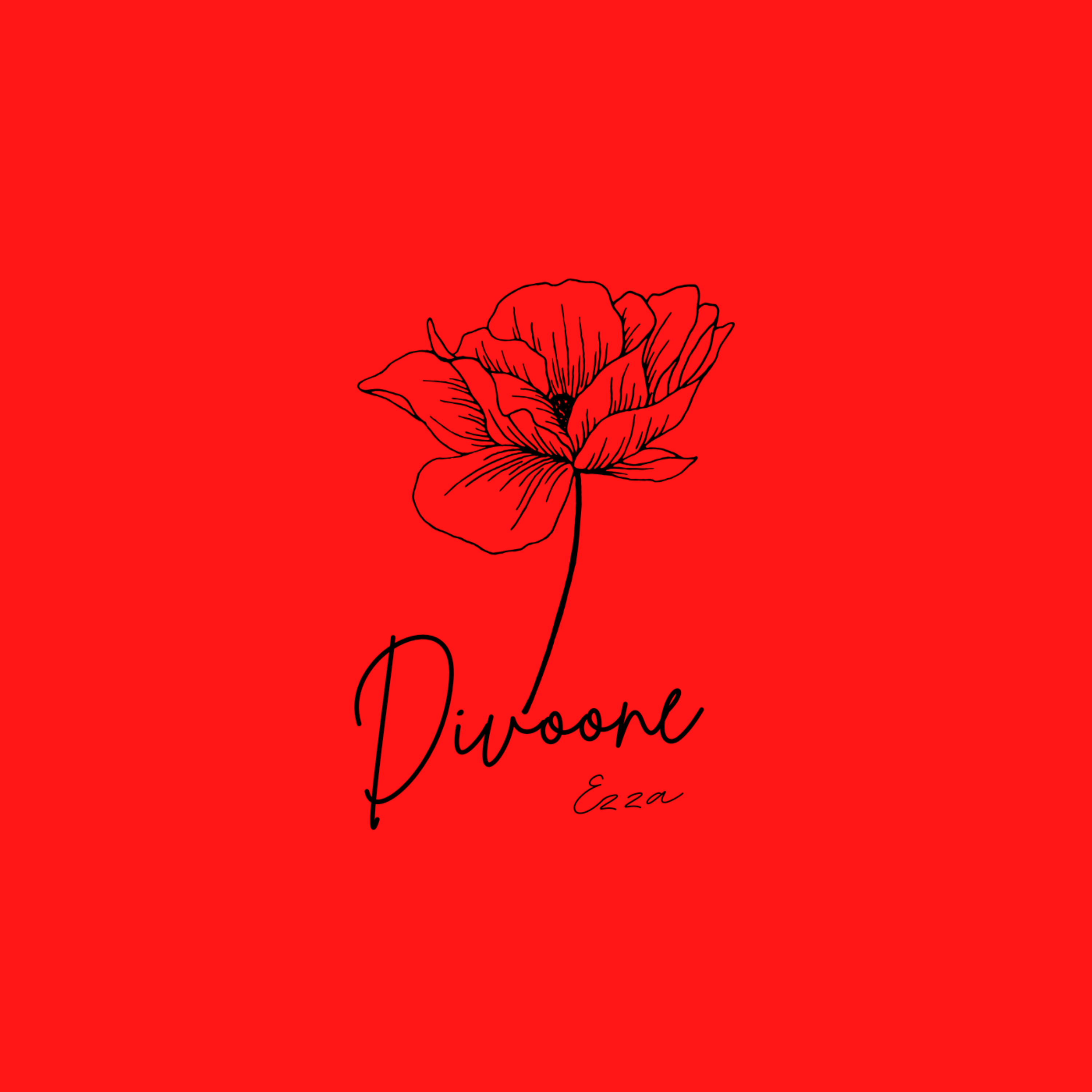 Divoone artwork
