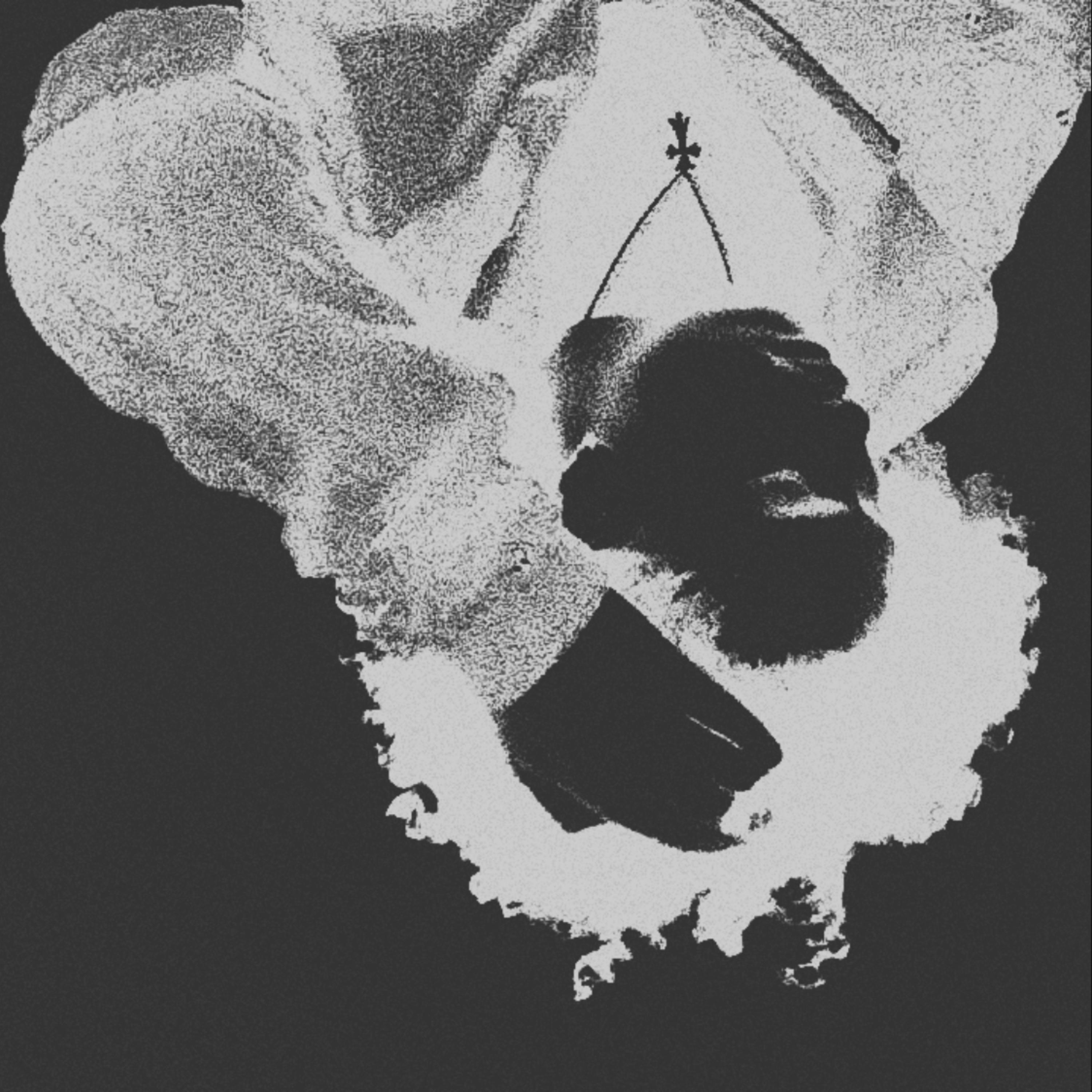 rot with me artwork