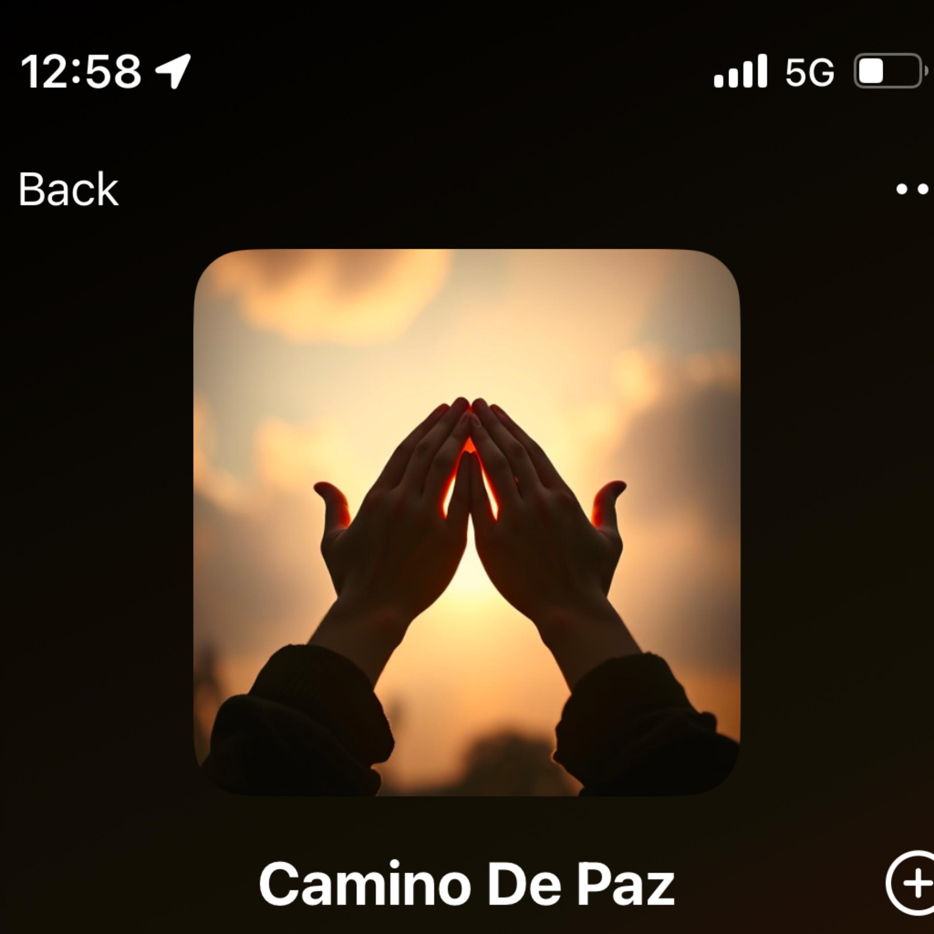 Camino De Paz artwork