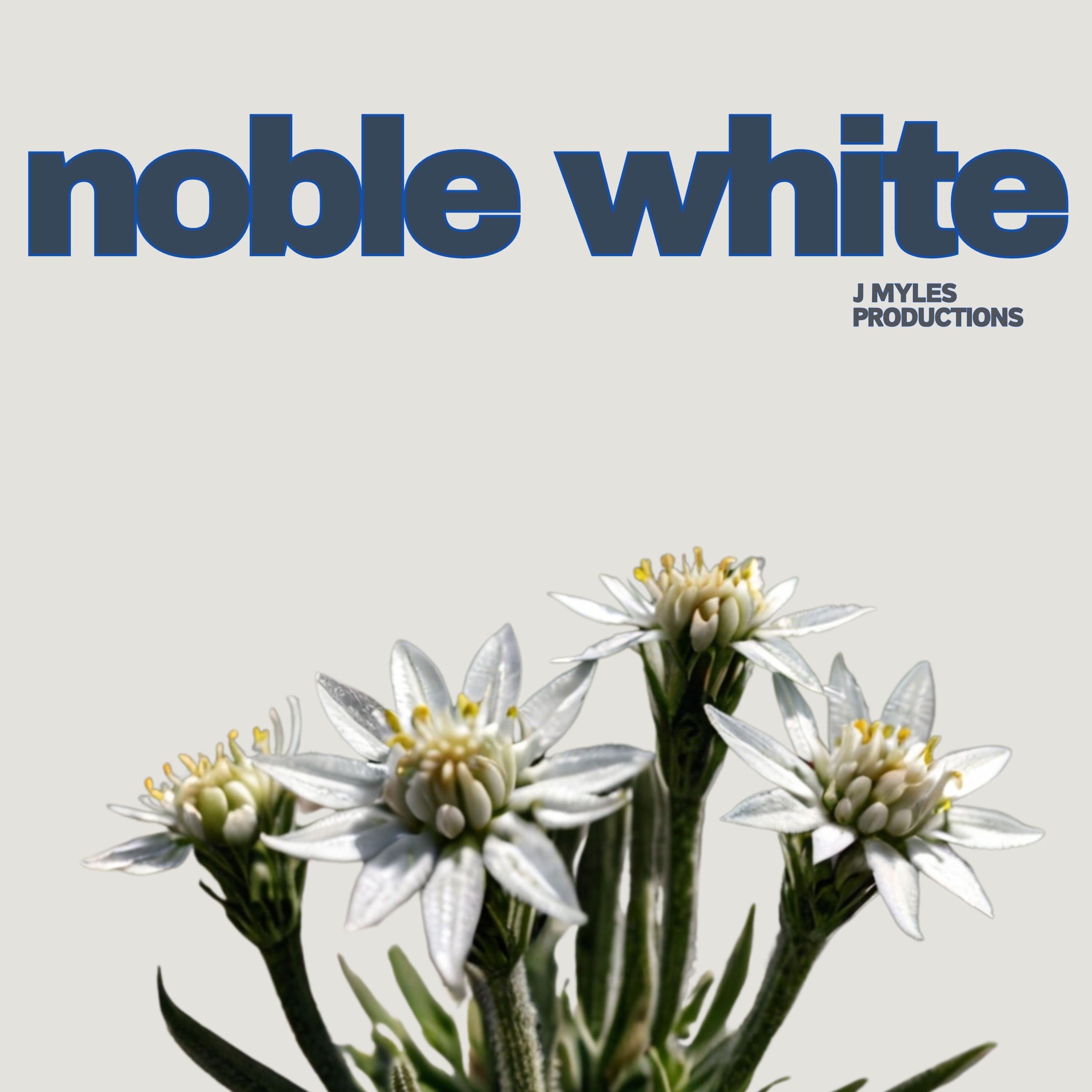 NOBLE WHITE artwork