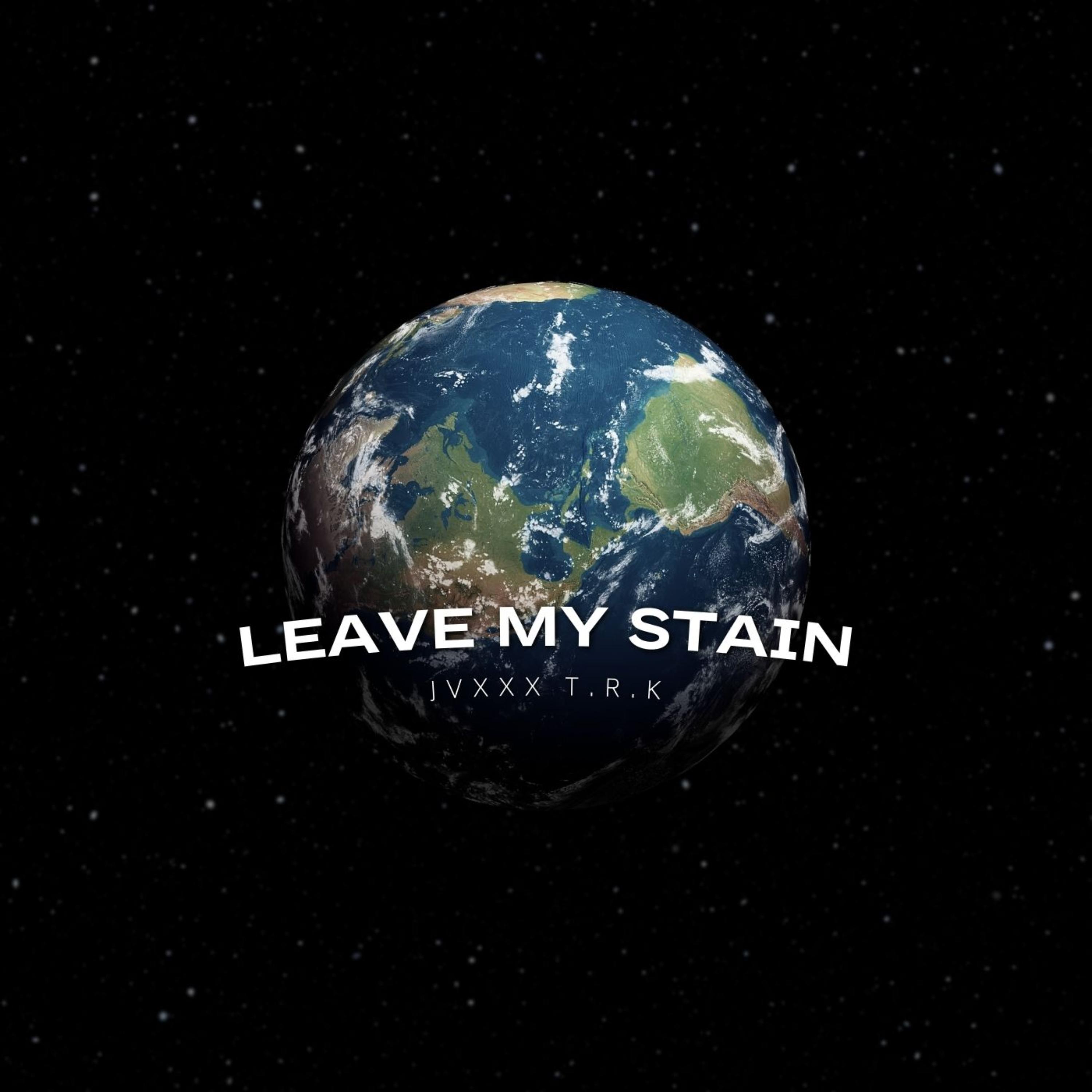 LEAVE MY STAIN artwork