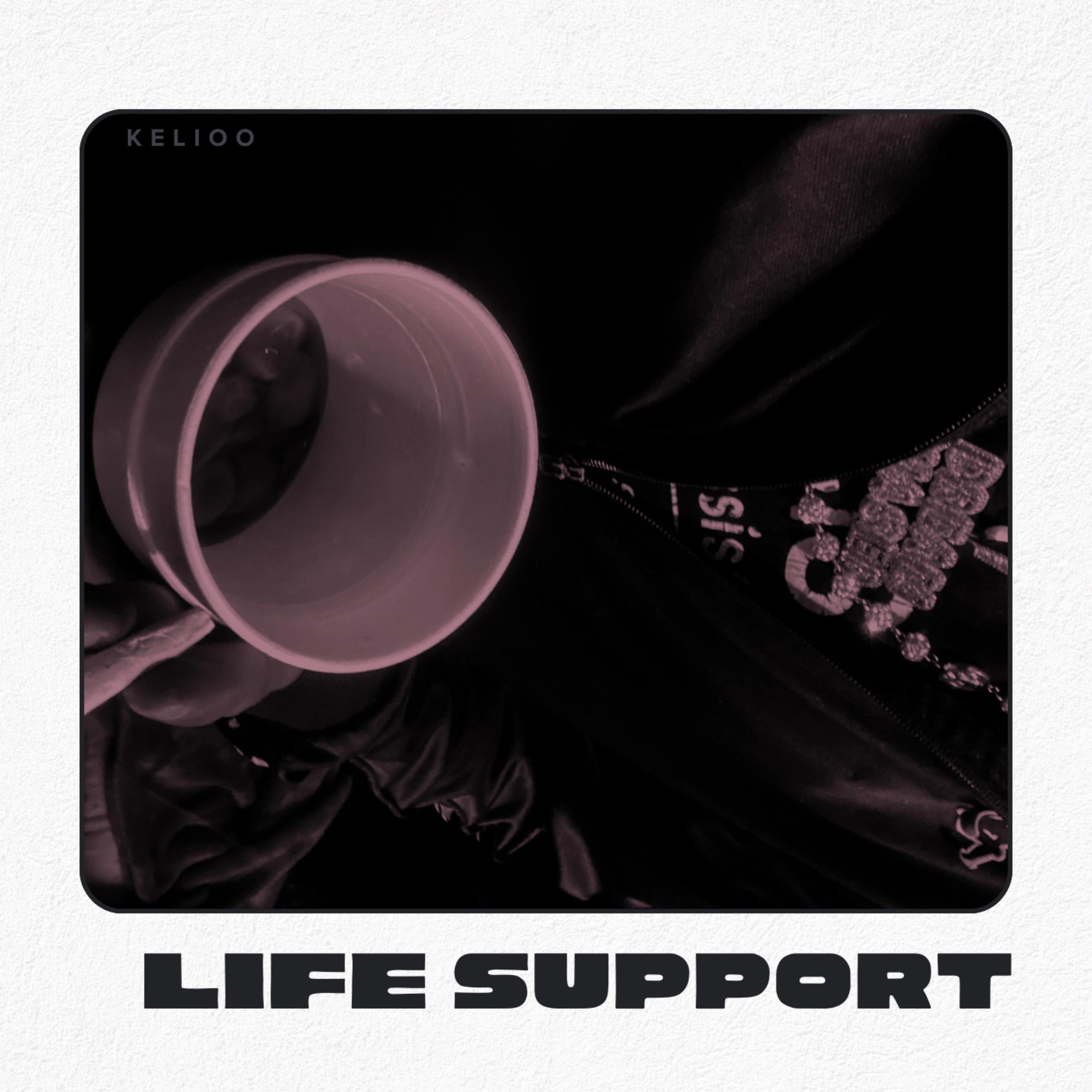 Life Support artwork