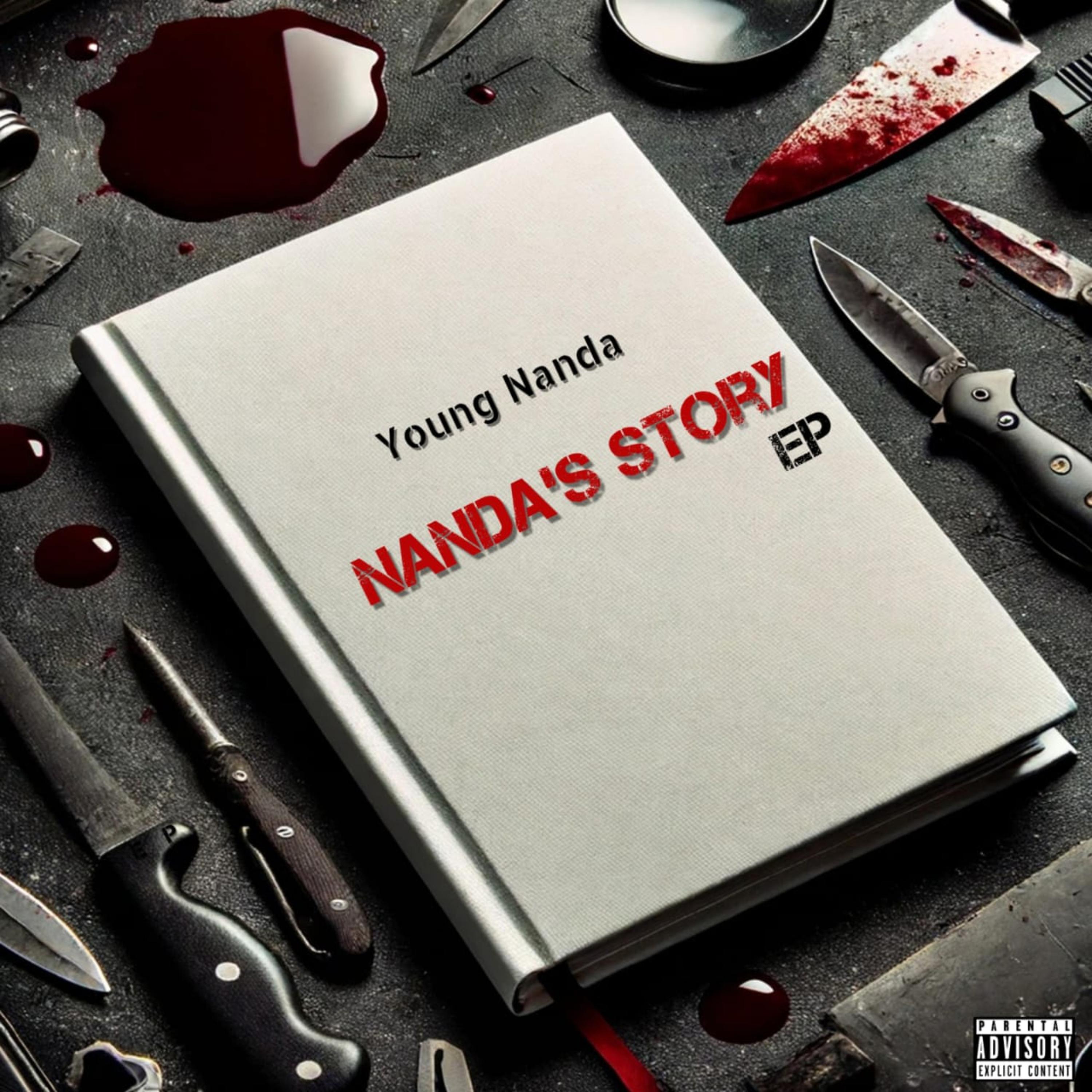 Nanda's Story artwork