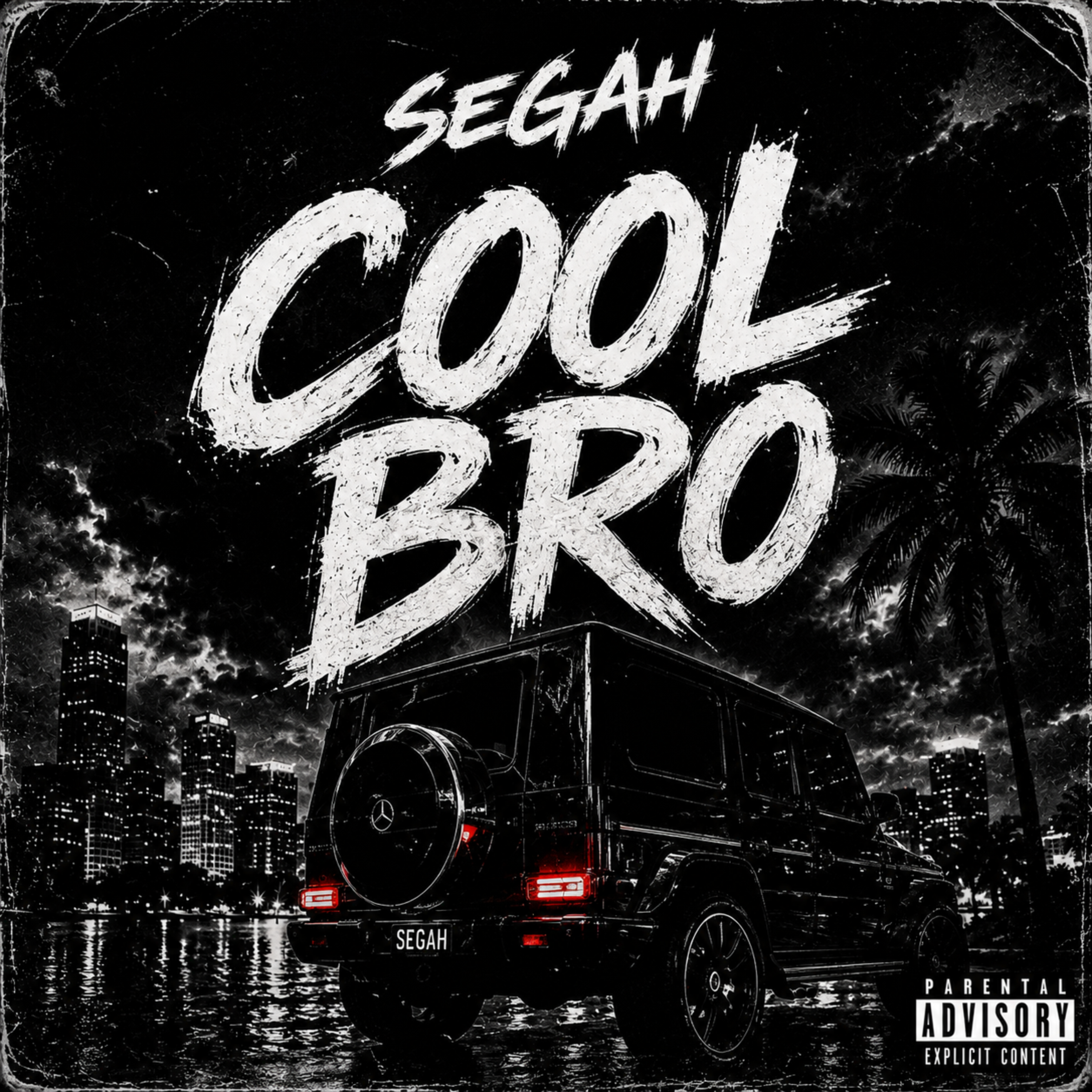 cool Bro by Segah cover art