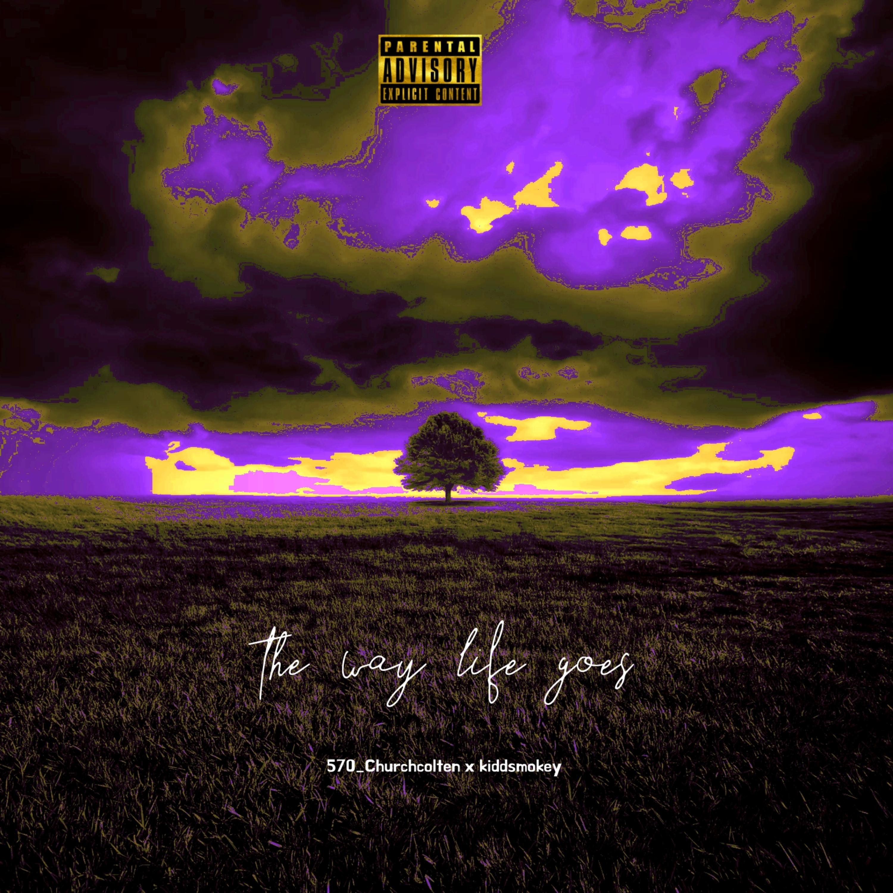 the way life goes artwork