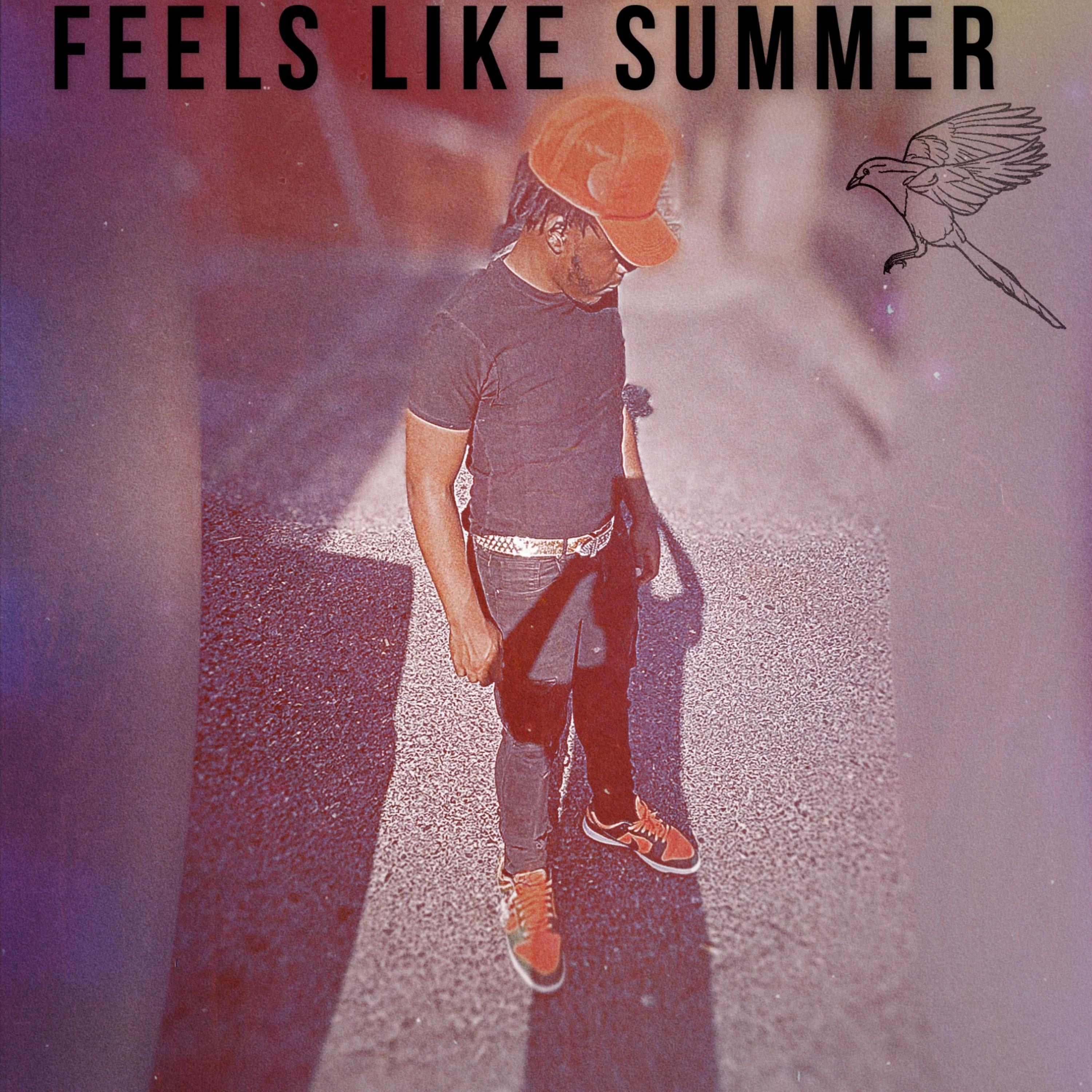 Feels Like Summer by AjPaPercHaze cover art