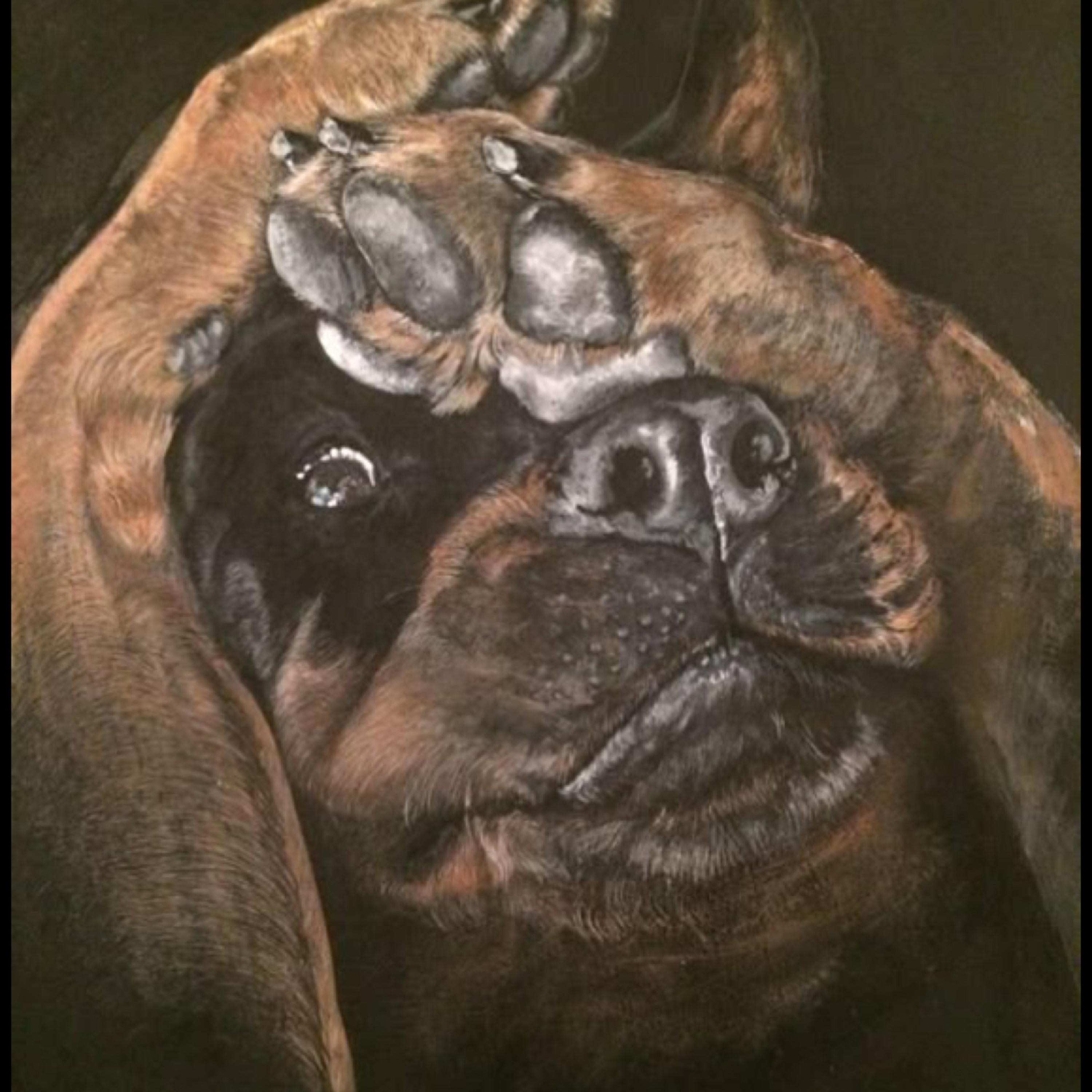 Rottweiler artwork
