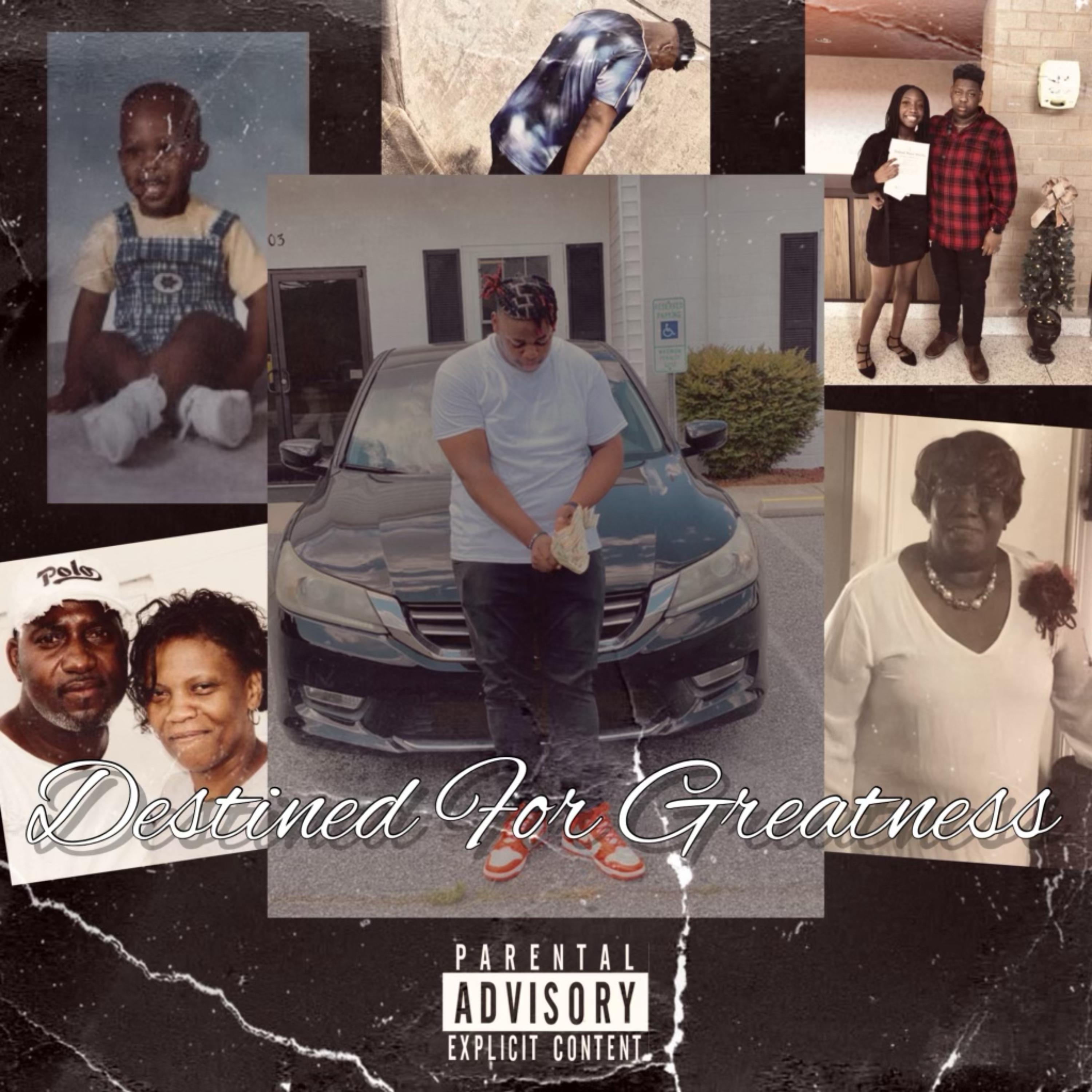 DESTINED FOR GREATNESS artwork