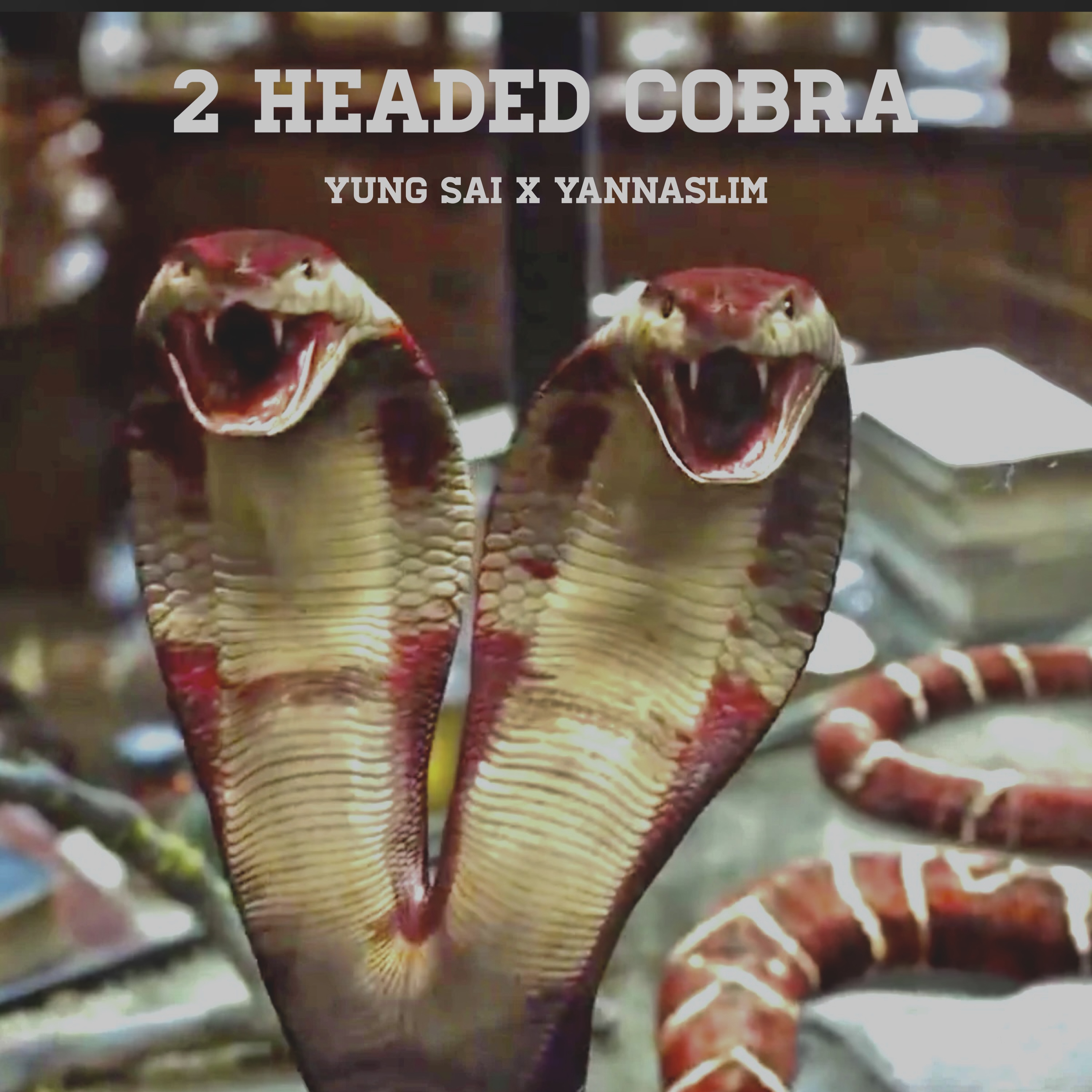 2 Headed Cobra artwork