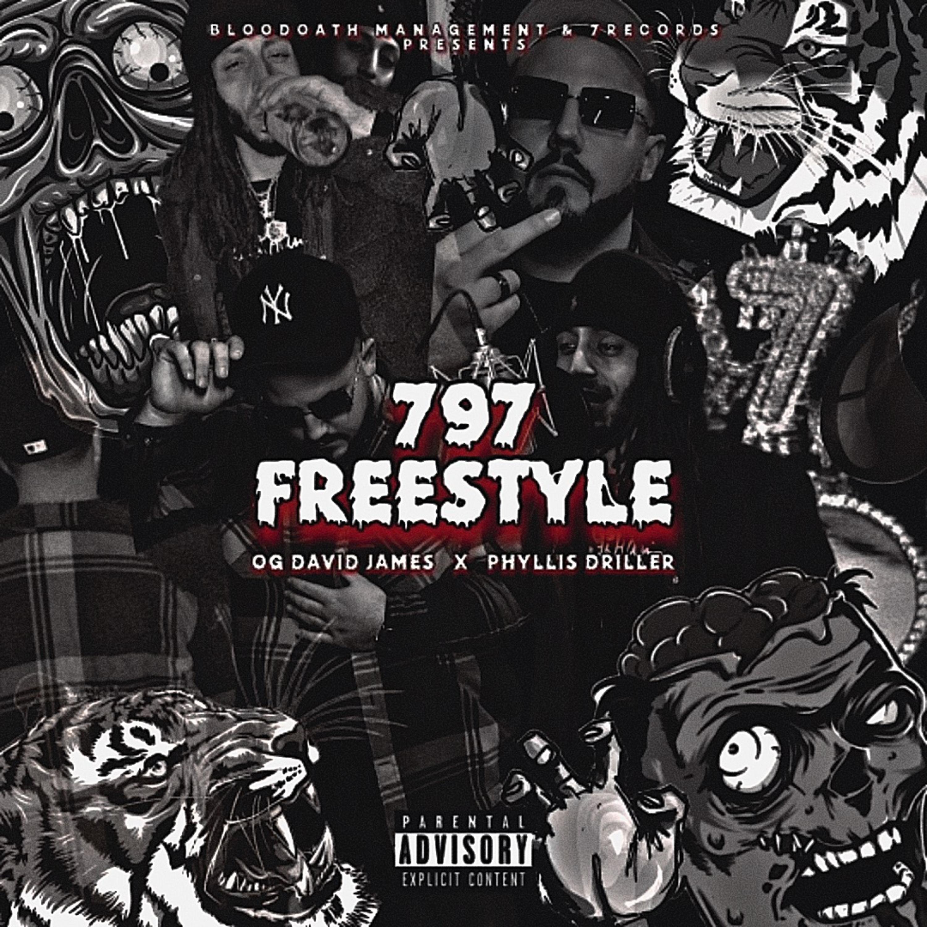 797 FREESTYLE artwork