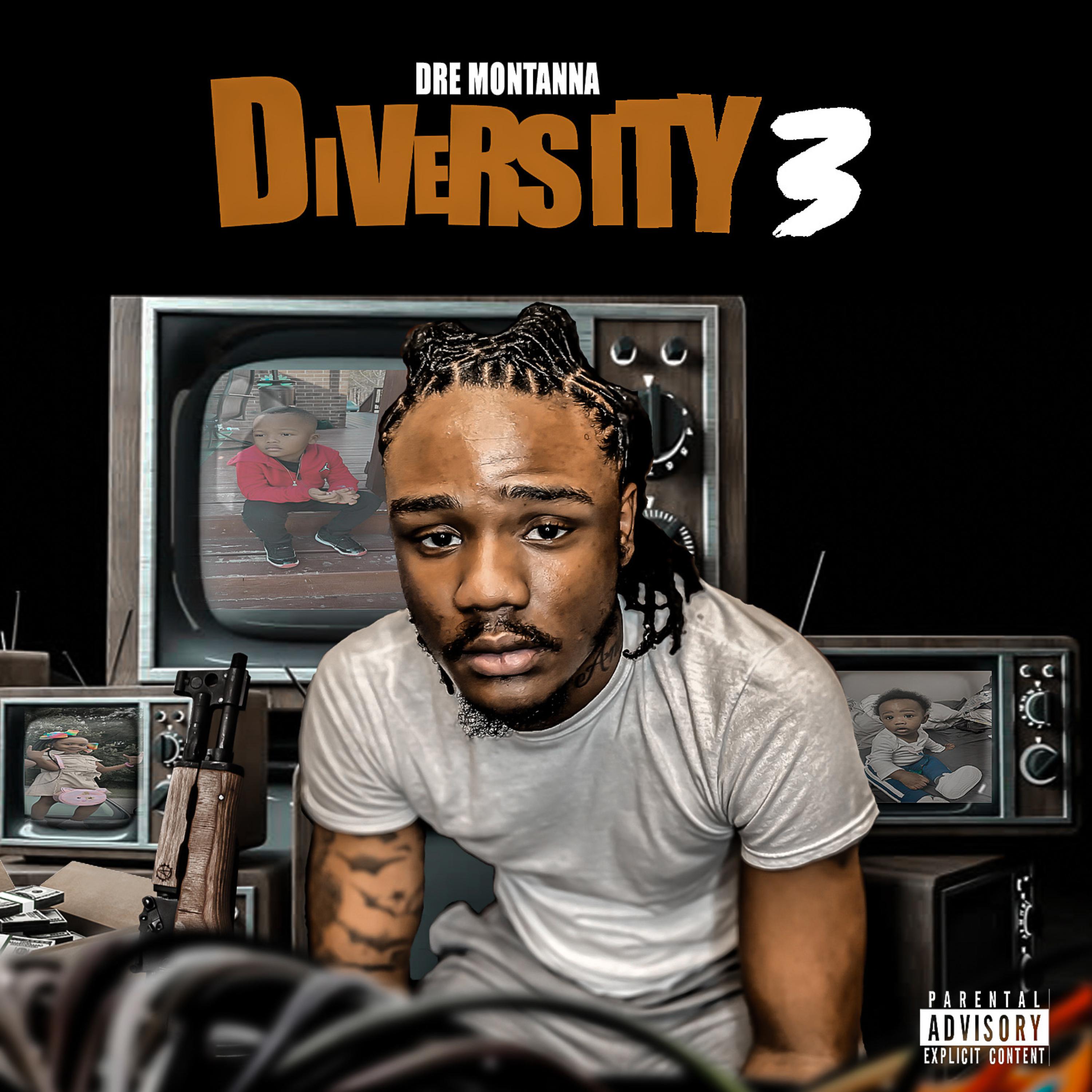 Diversity 3 artwork