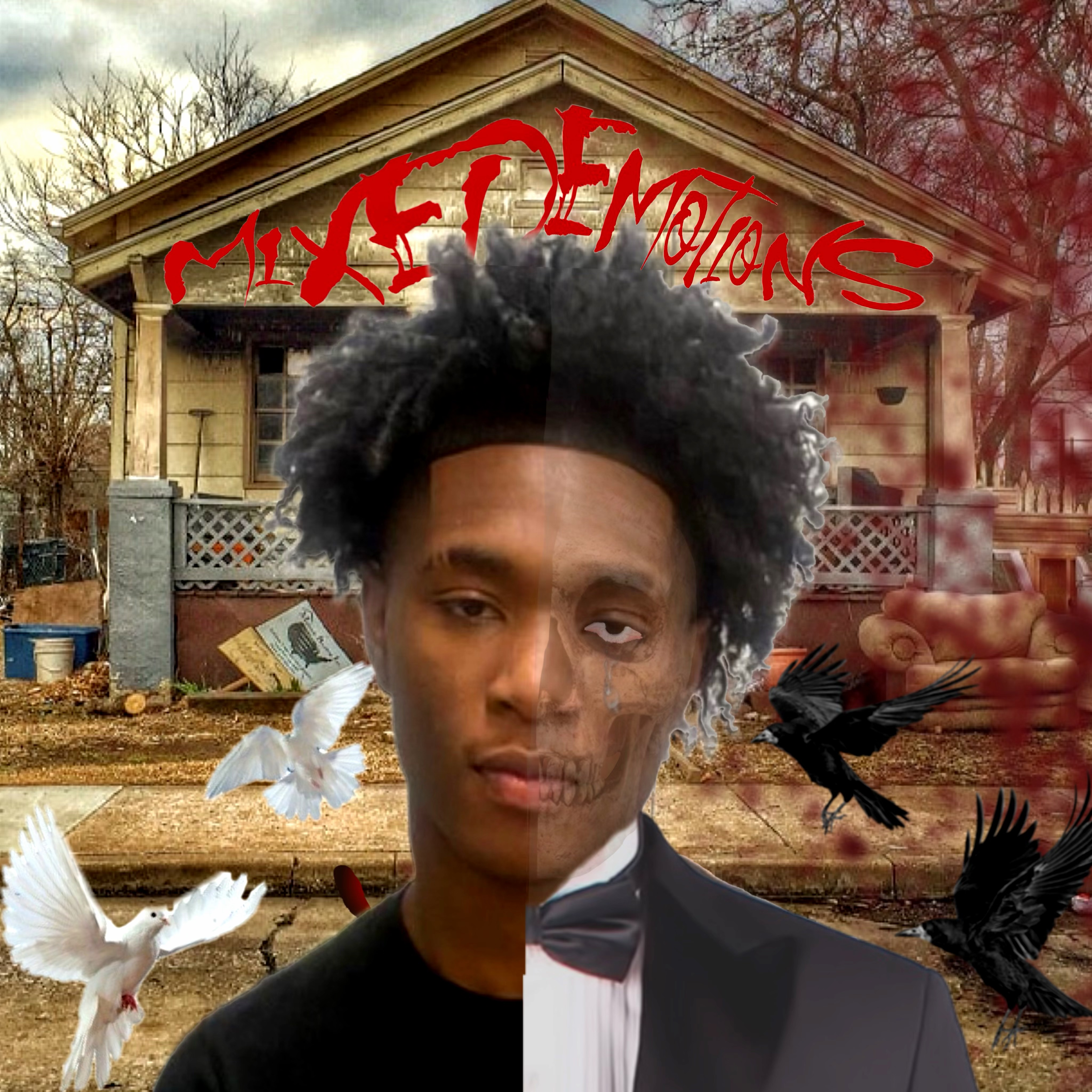 MIXED EMOTIONS artwork