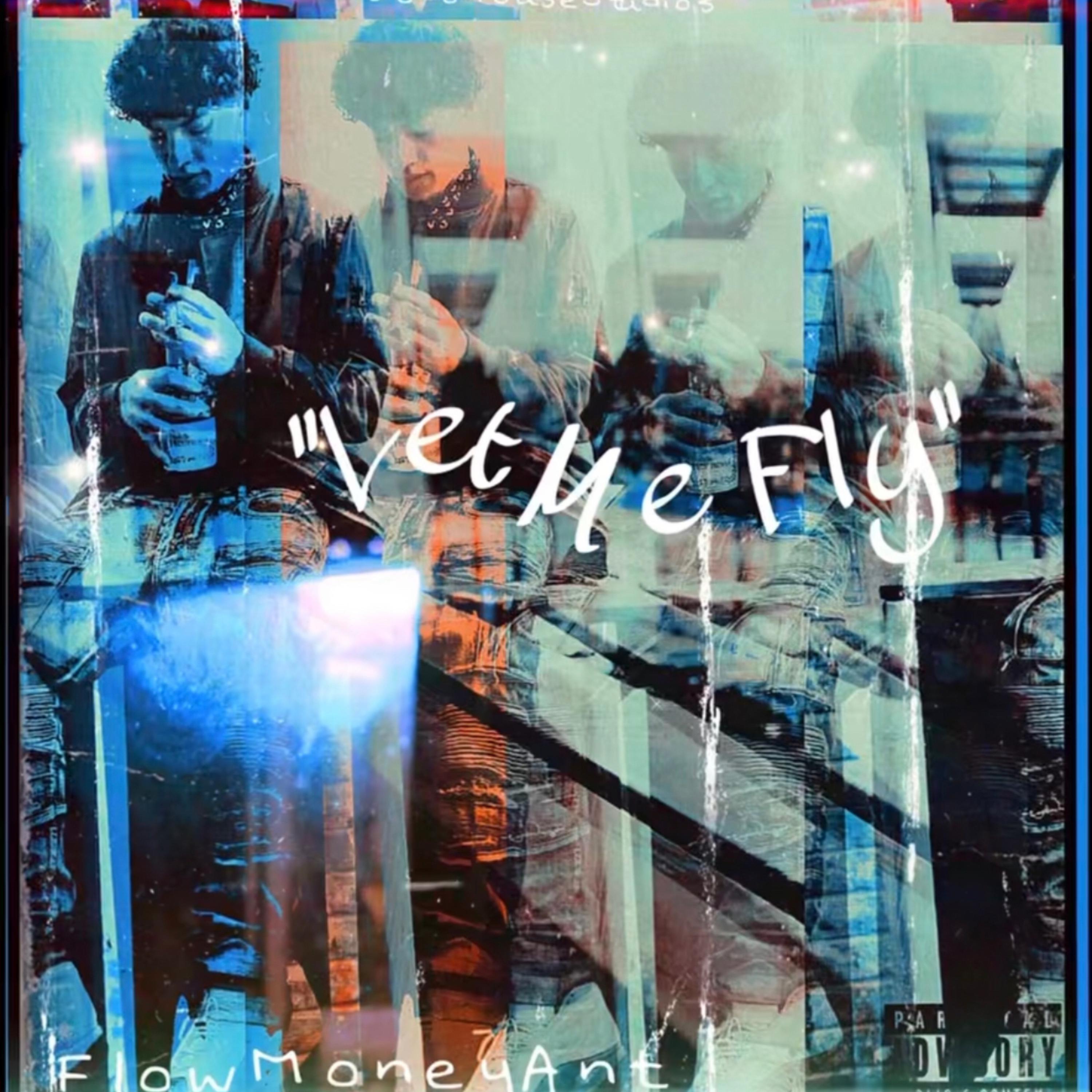 Let Me Fly artwork