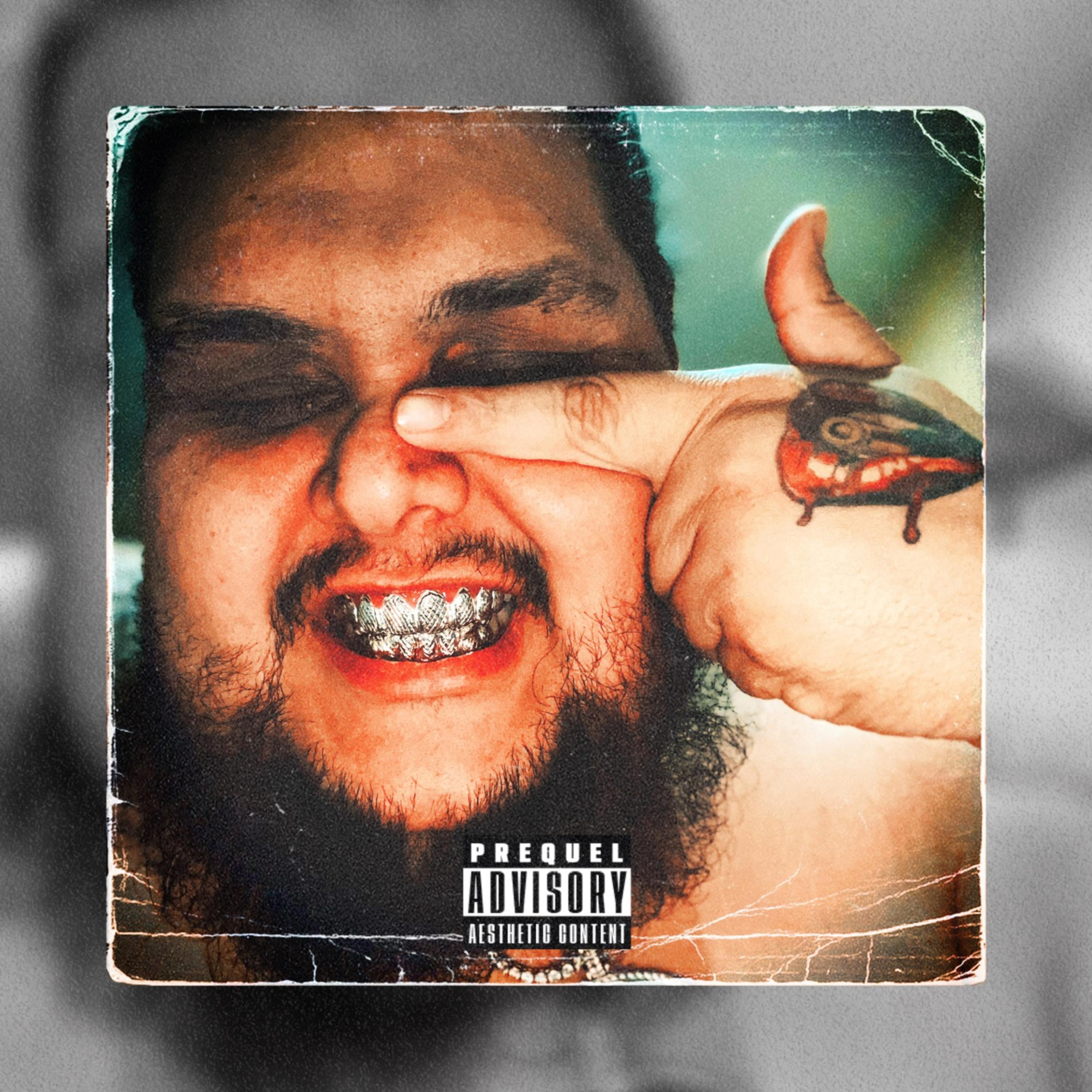 Mush Mouth (Remix) artwork