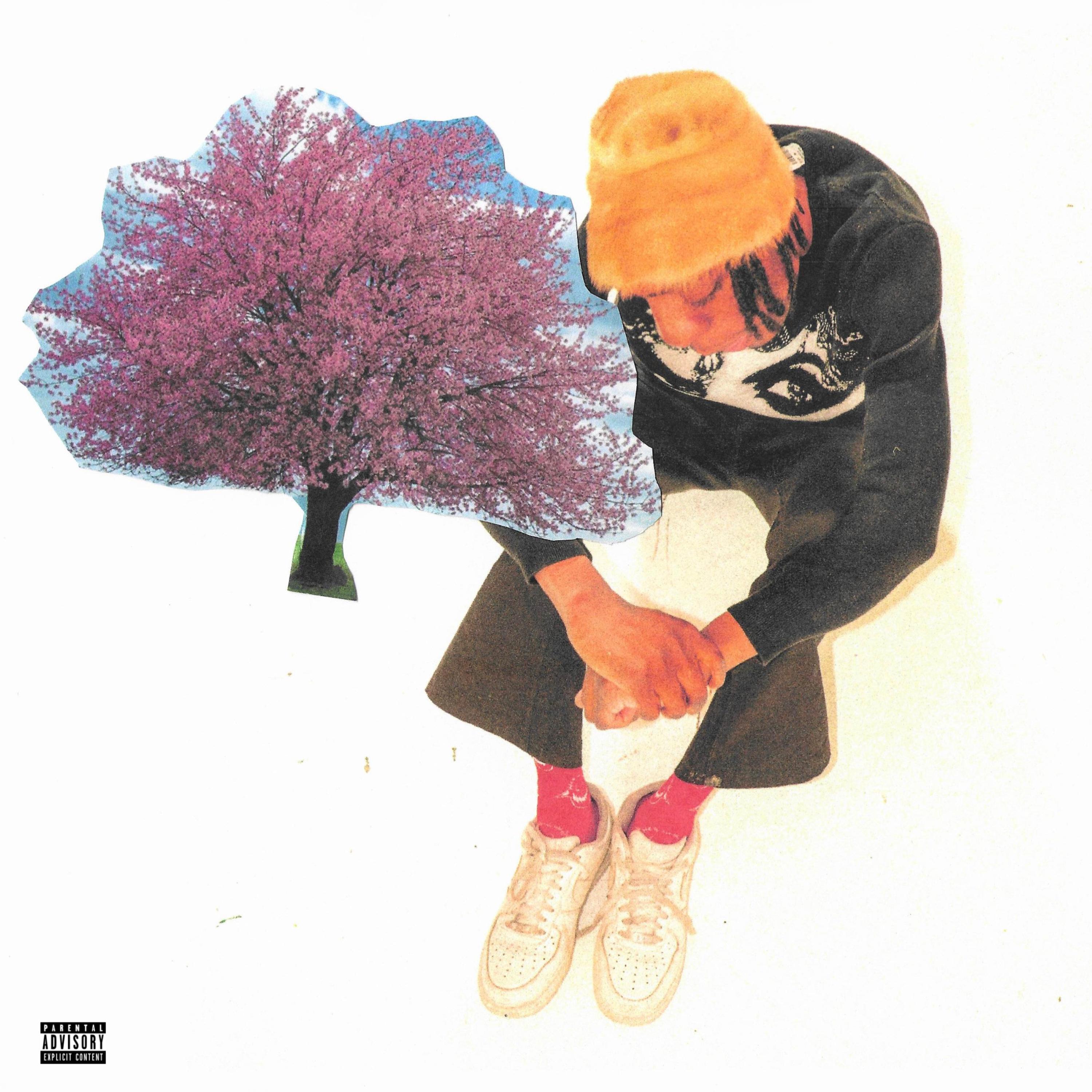 CHERRY BLOSSOM artwork