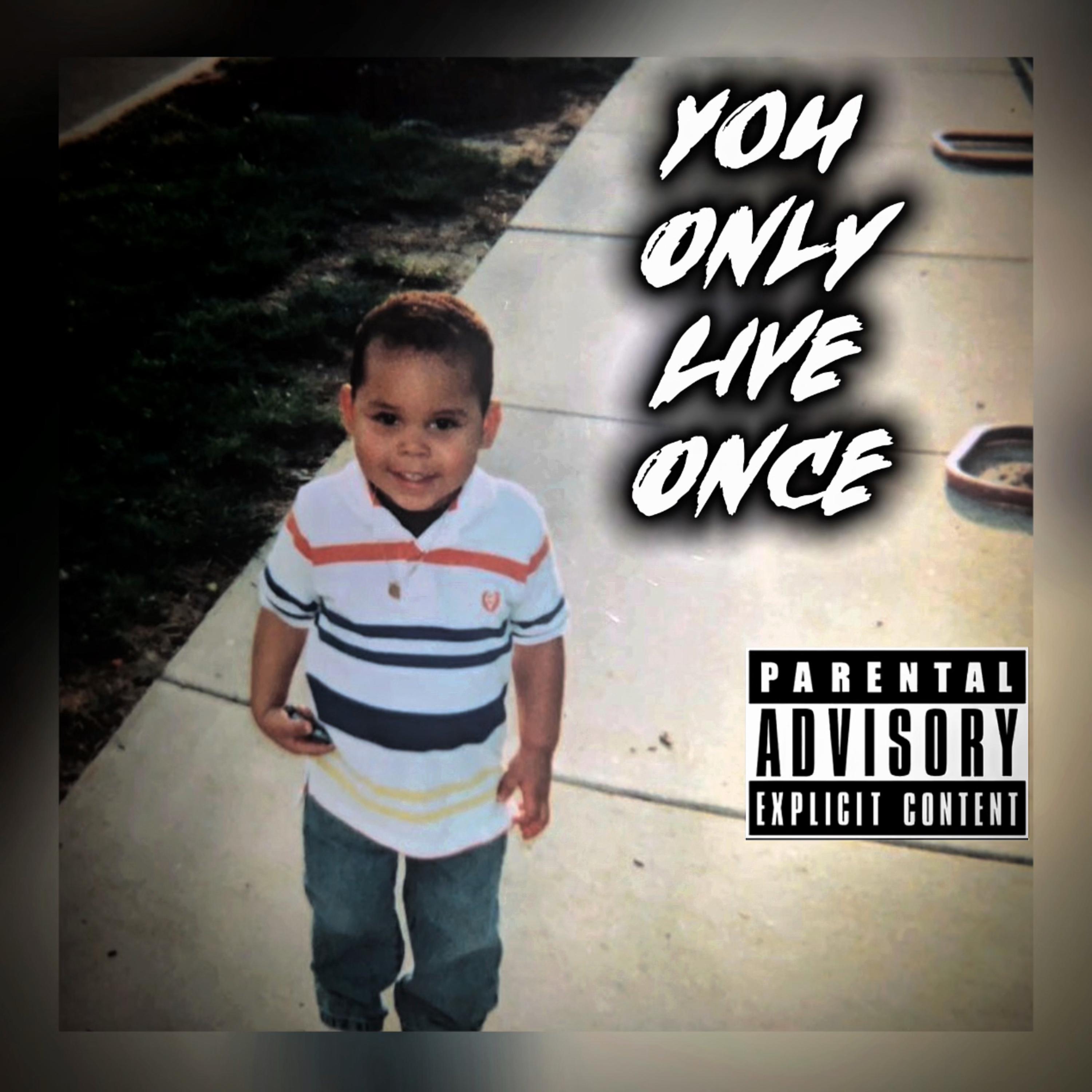 You Only Live Once artwork