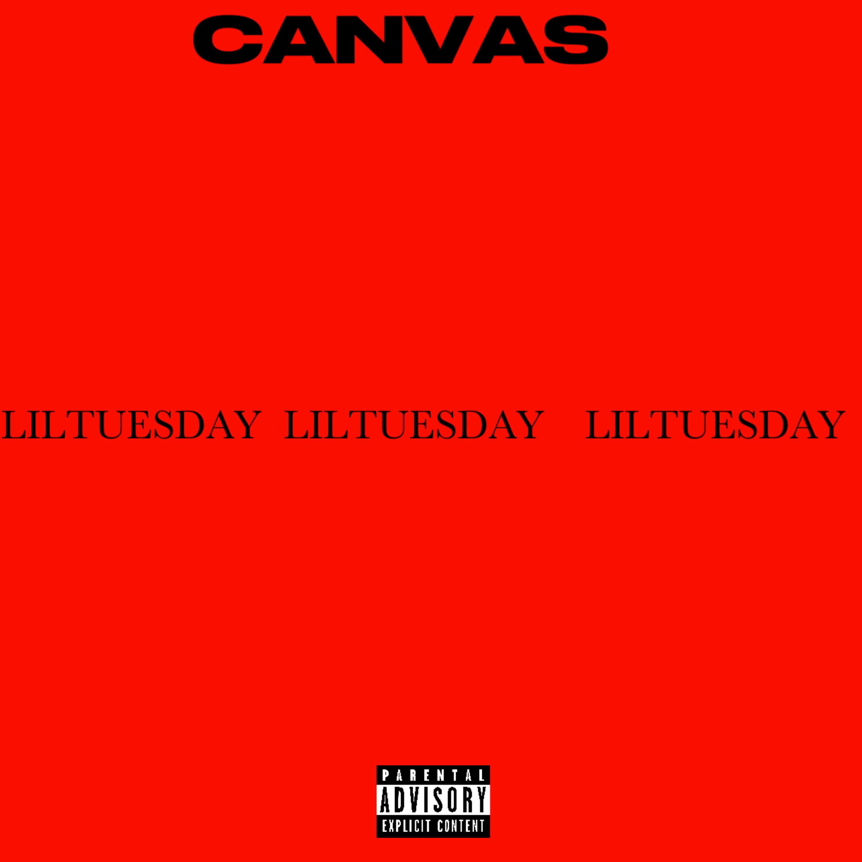 CANVAS artwork