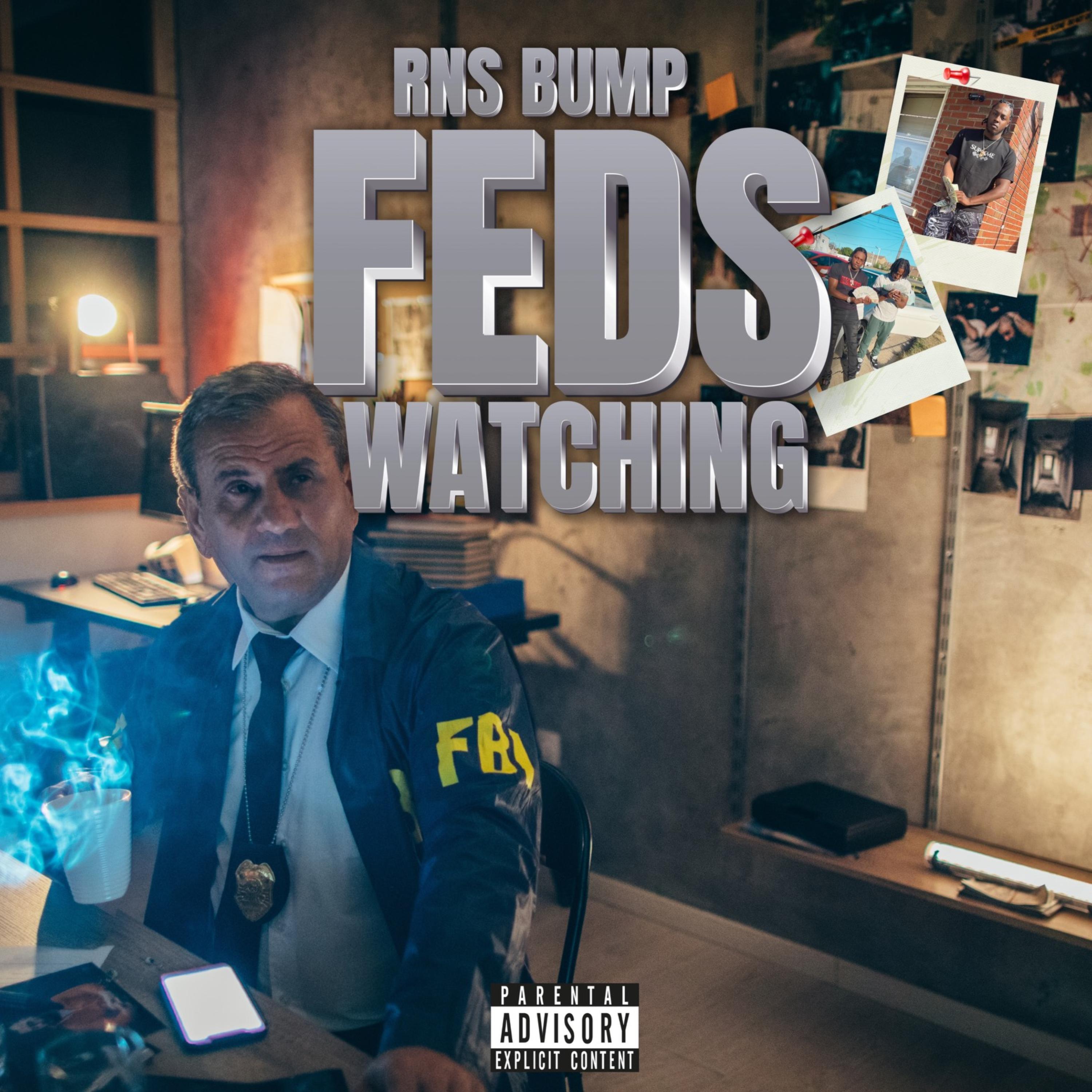 Feds Watching artwork