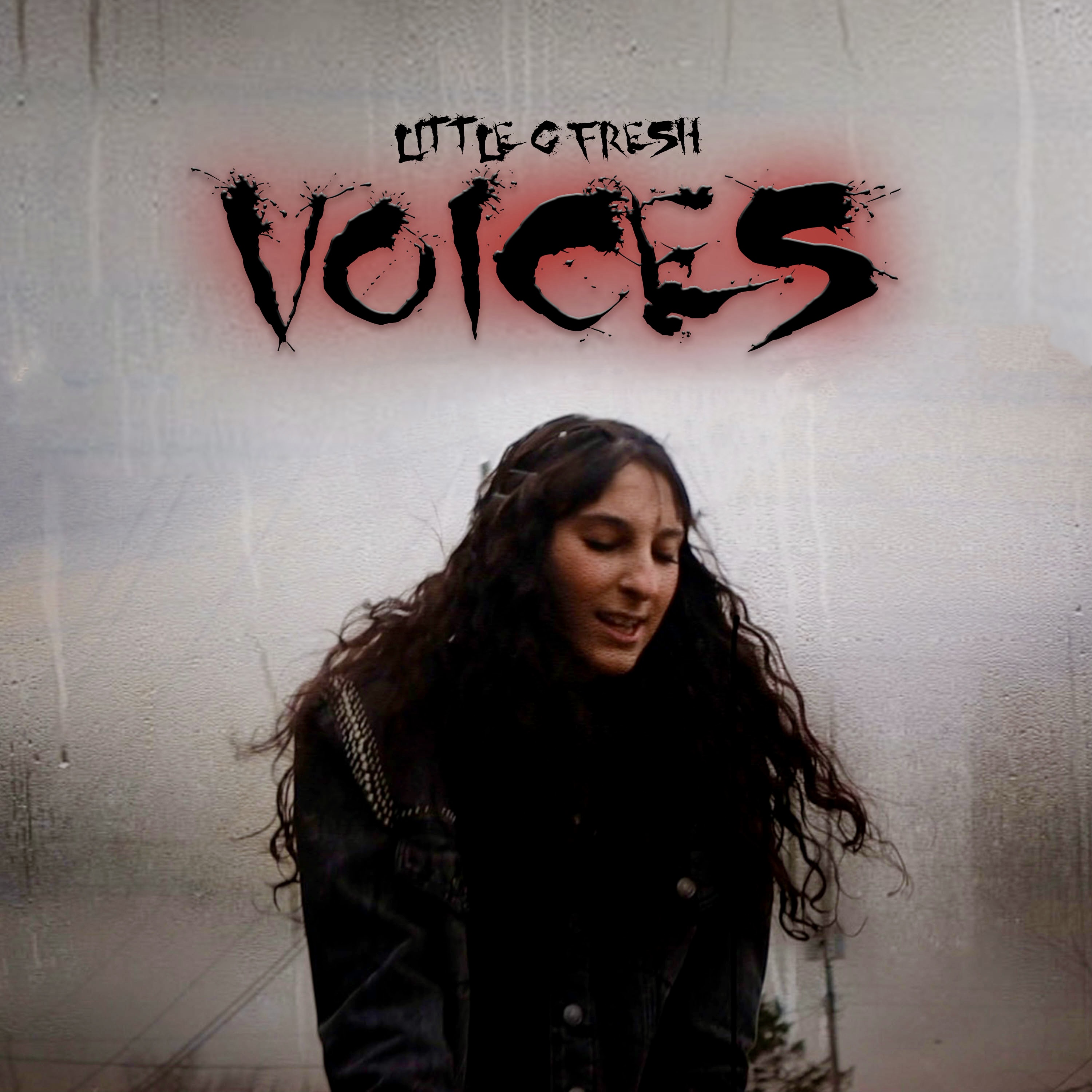 Voices artwork
