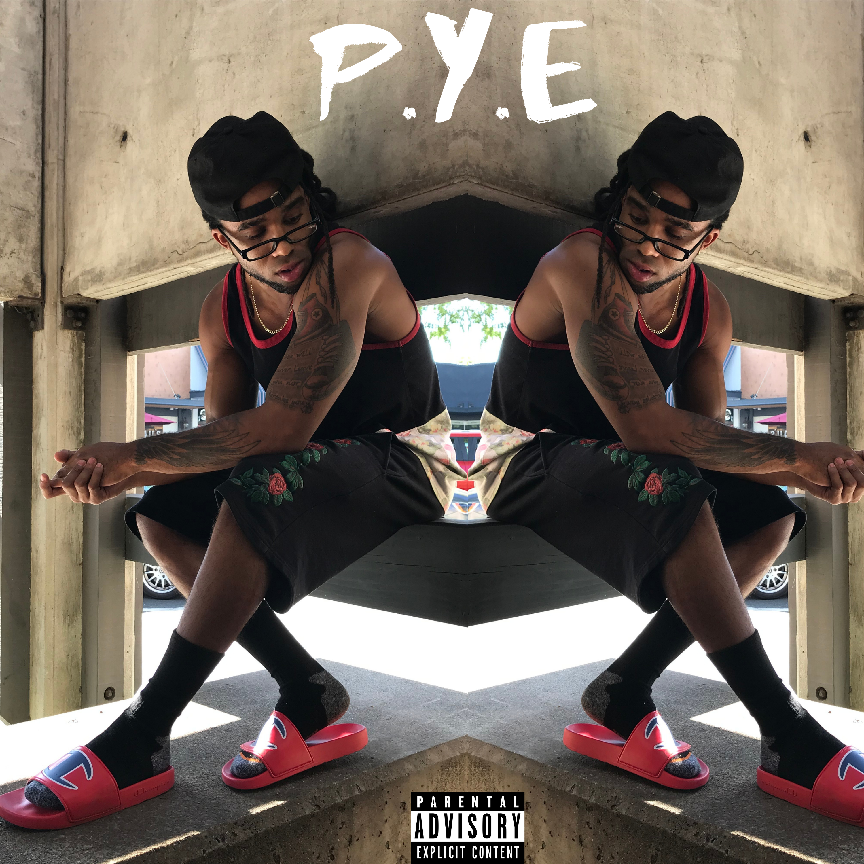 P.Y.E. (Protect Your Energy) by Mrmilkchocolatee cover art