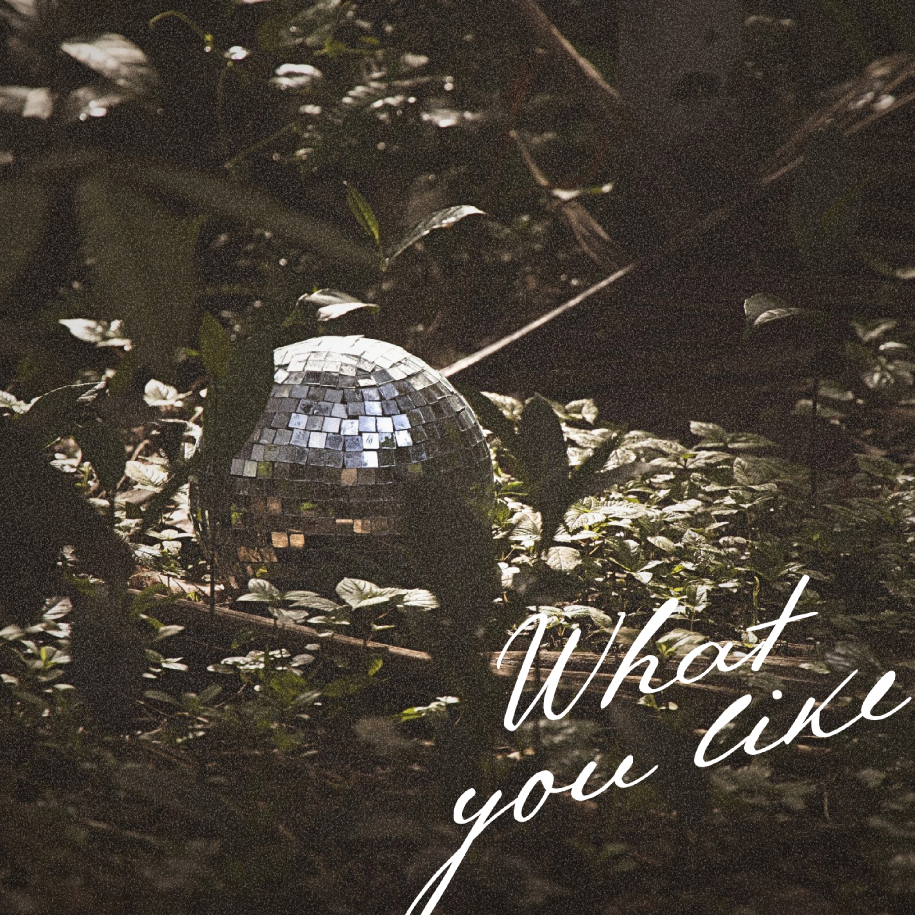 What You Like artwork