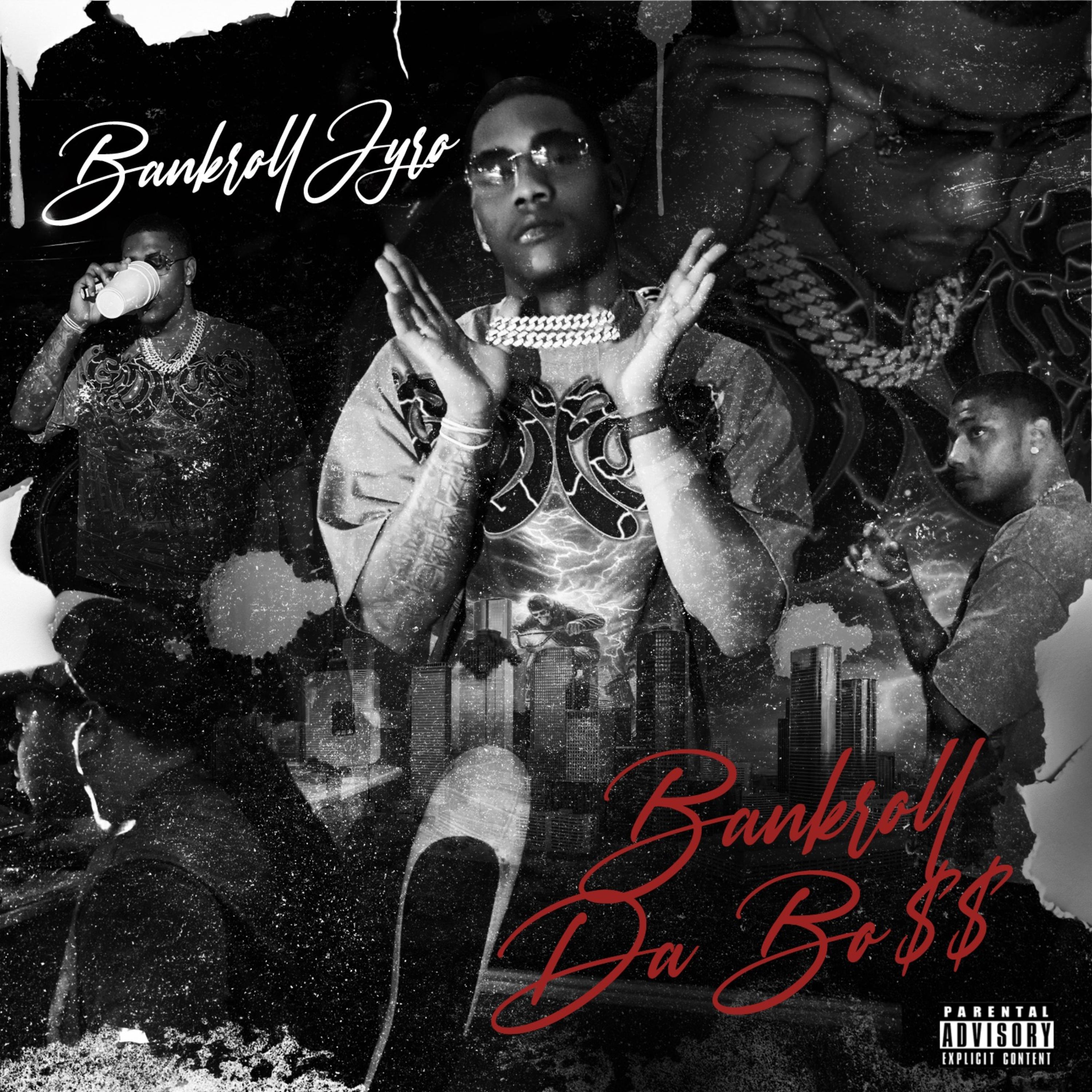 Bankroll Da Bo$$ artwork