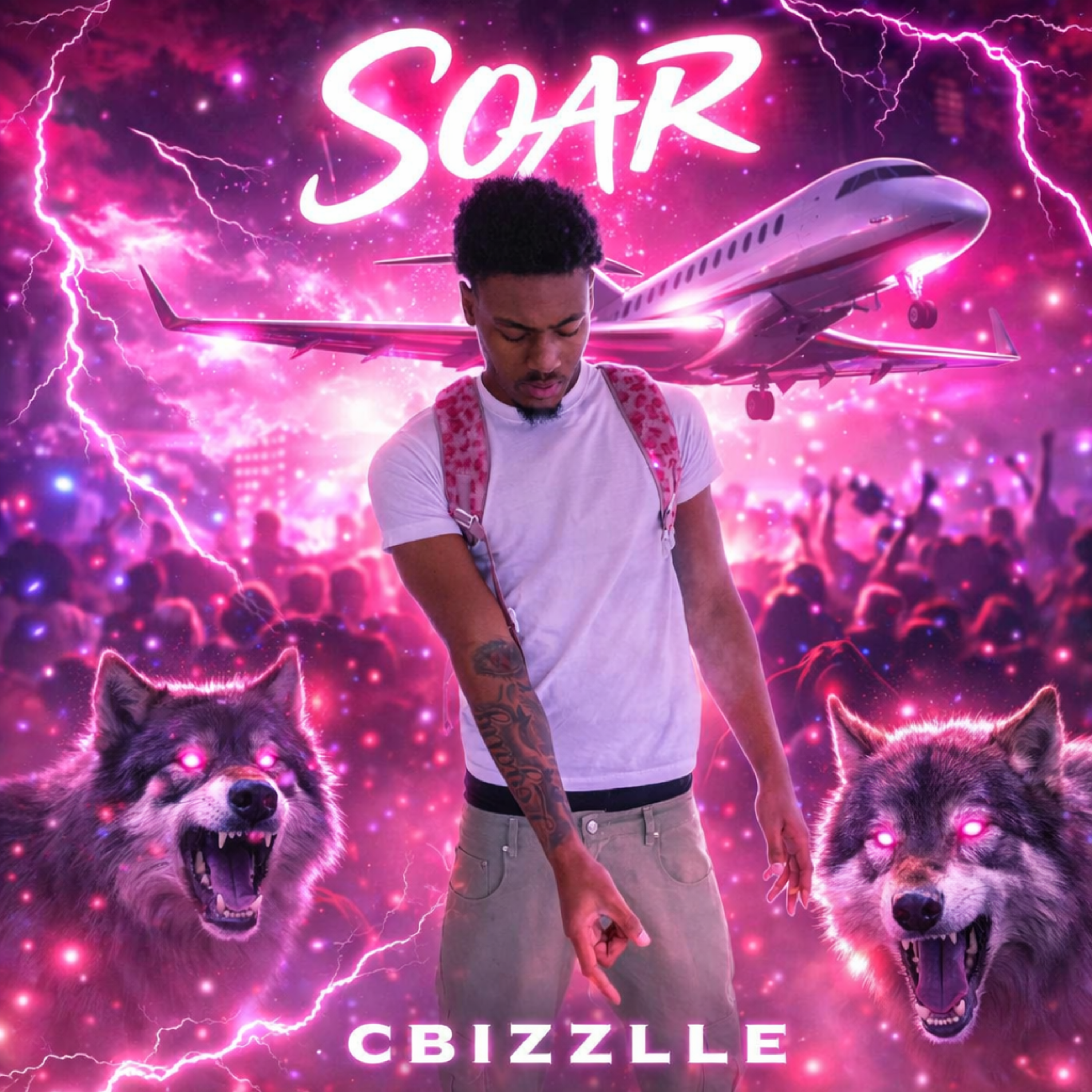 Soar artwork