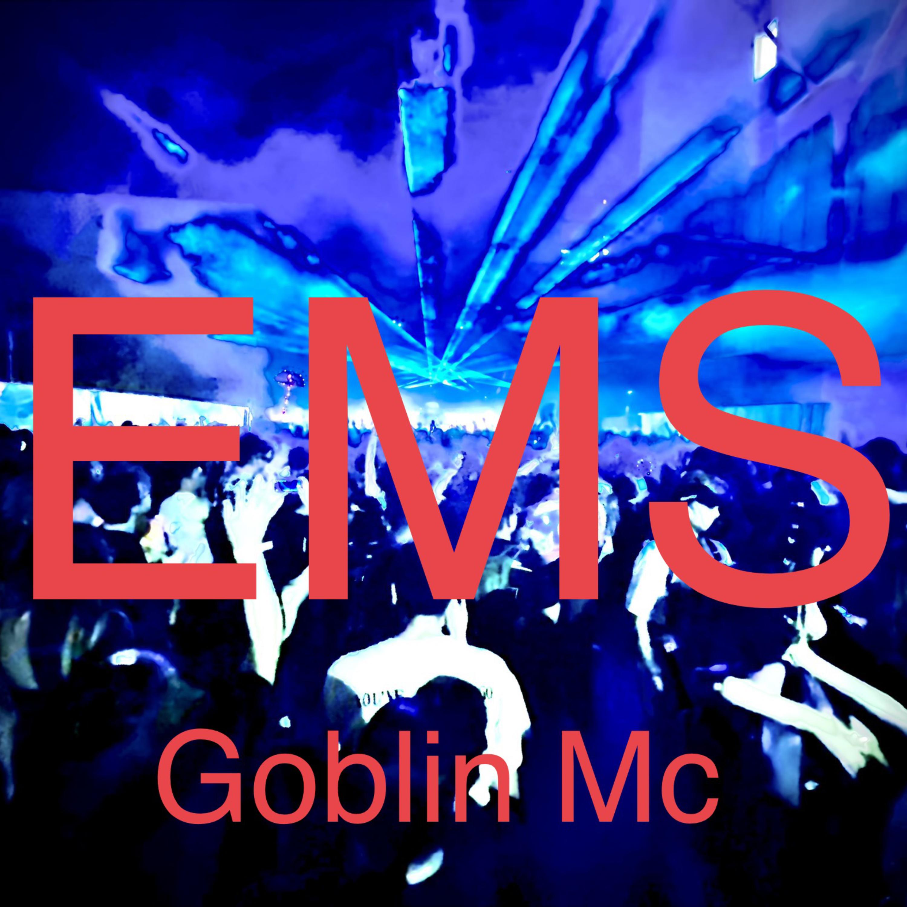 EMS artwork